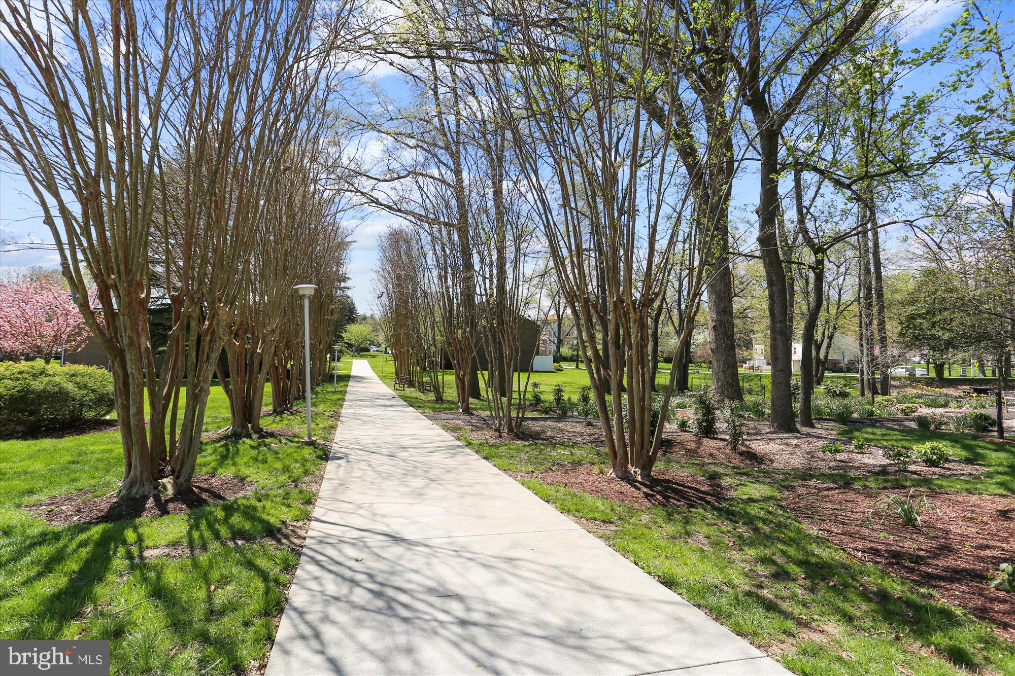 LEISURE WORLD - Residential