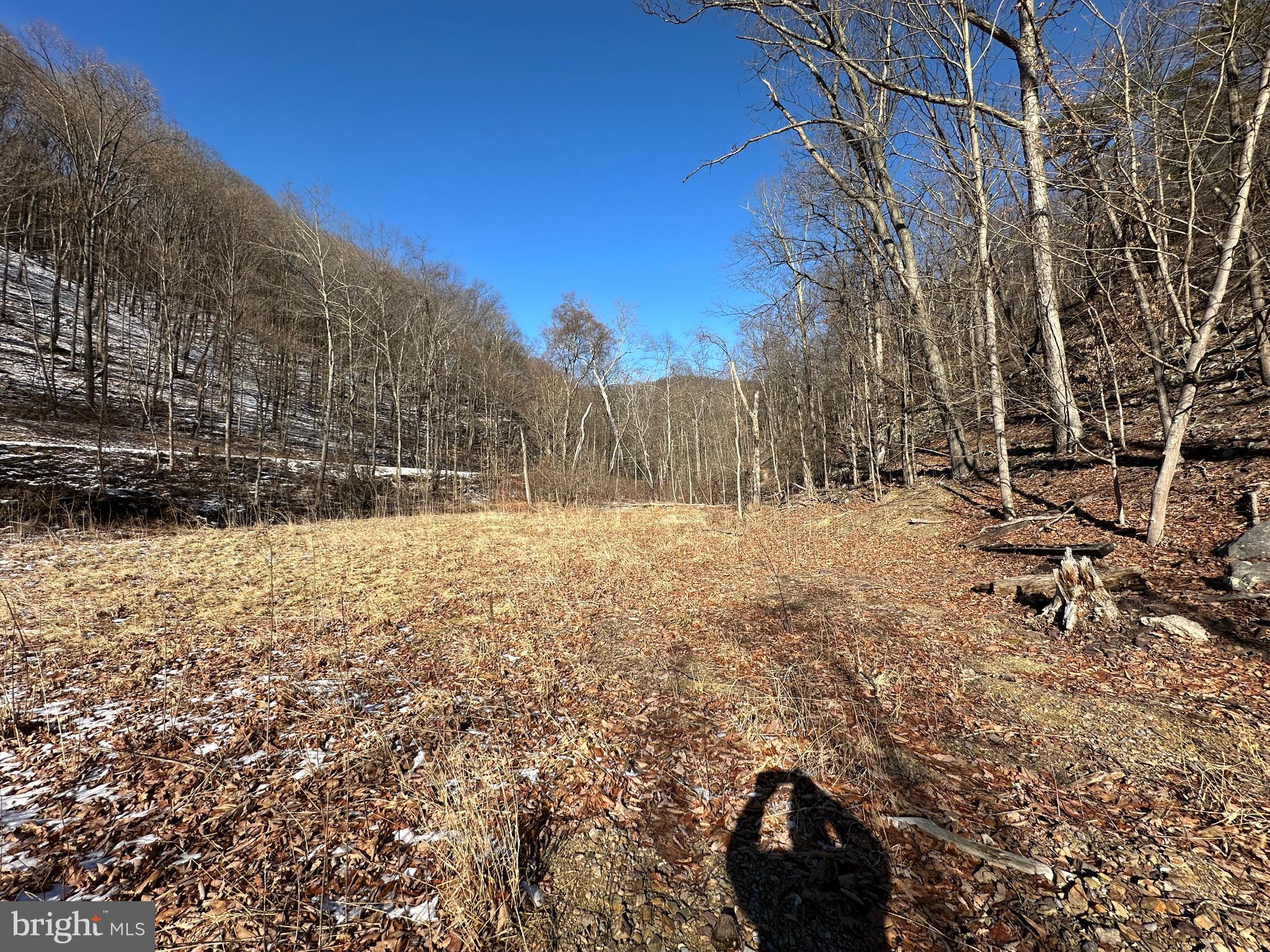 NONE AVAILABLE - Land