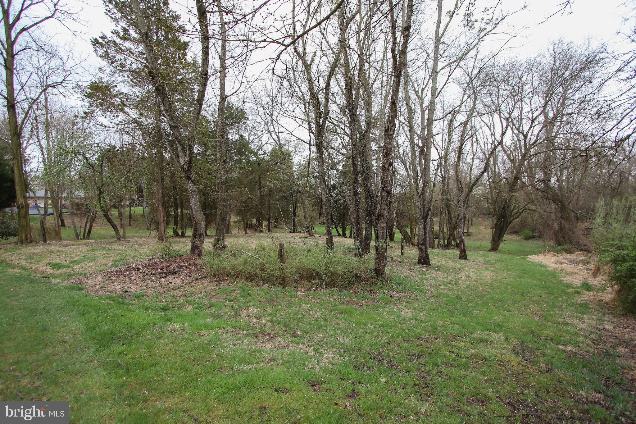 ANCIENT OAK - Land