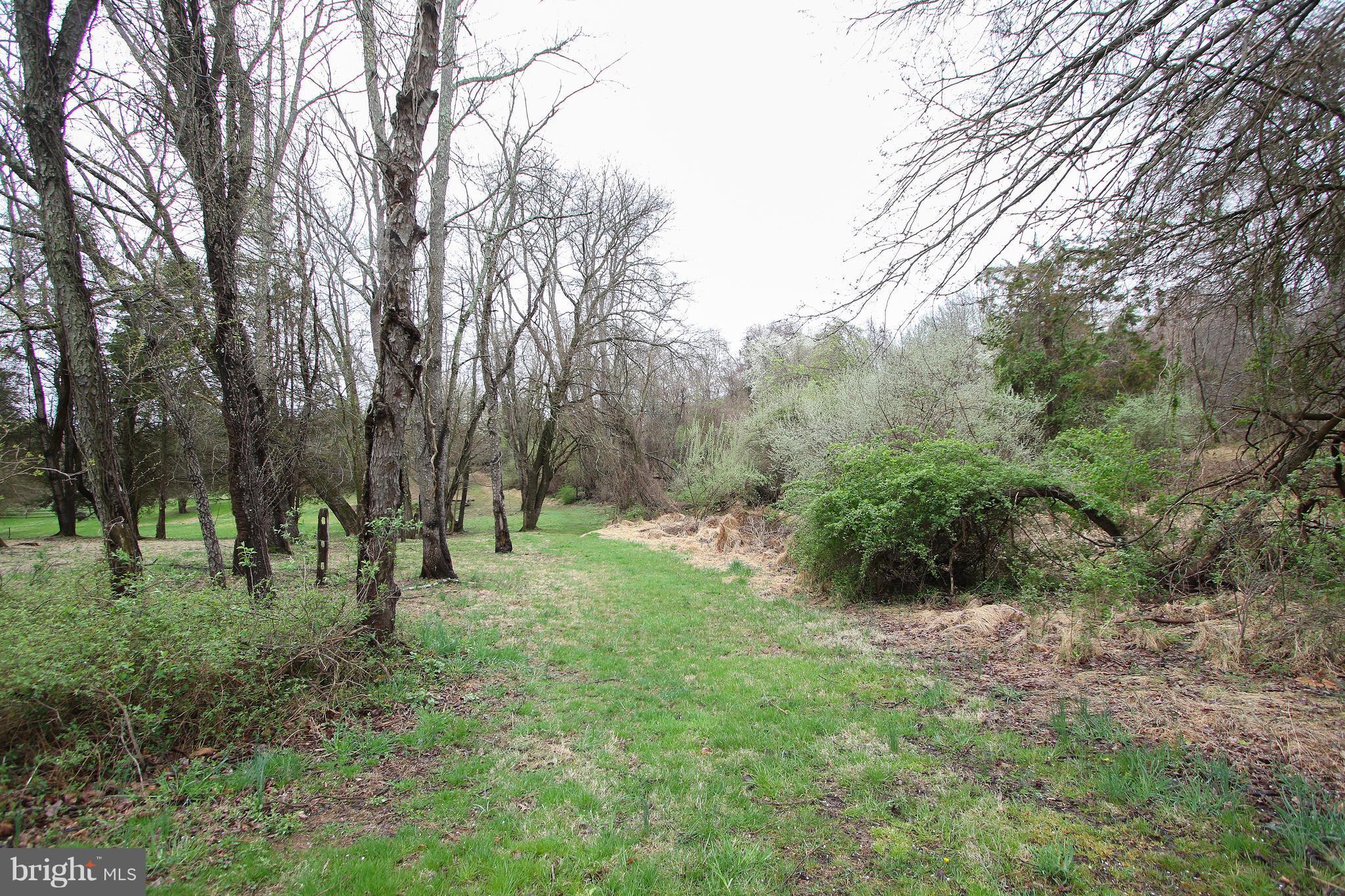 ANCIENT OAK - Land