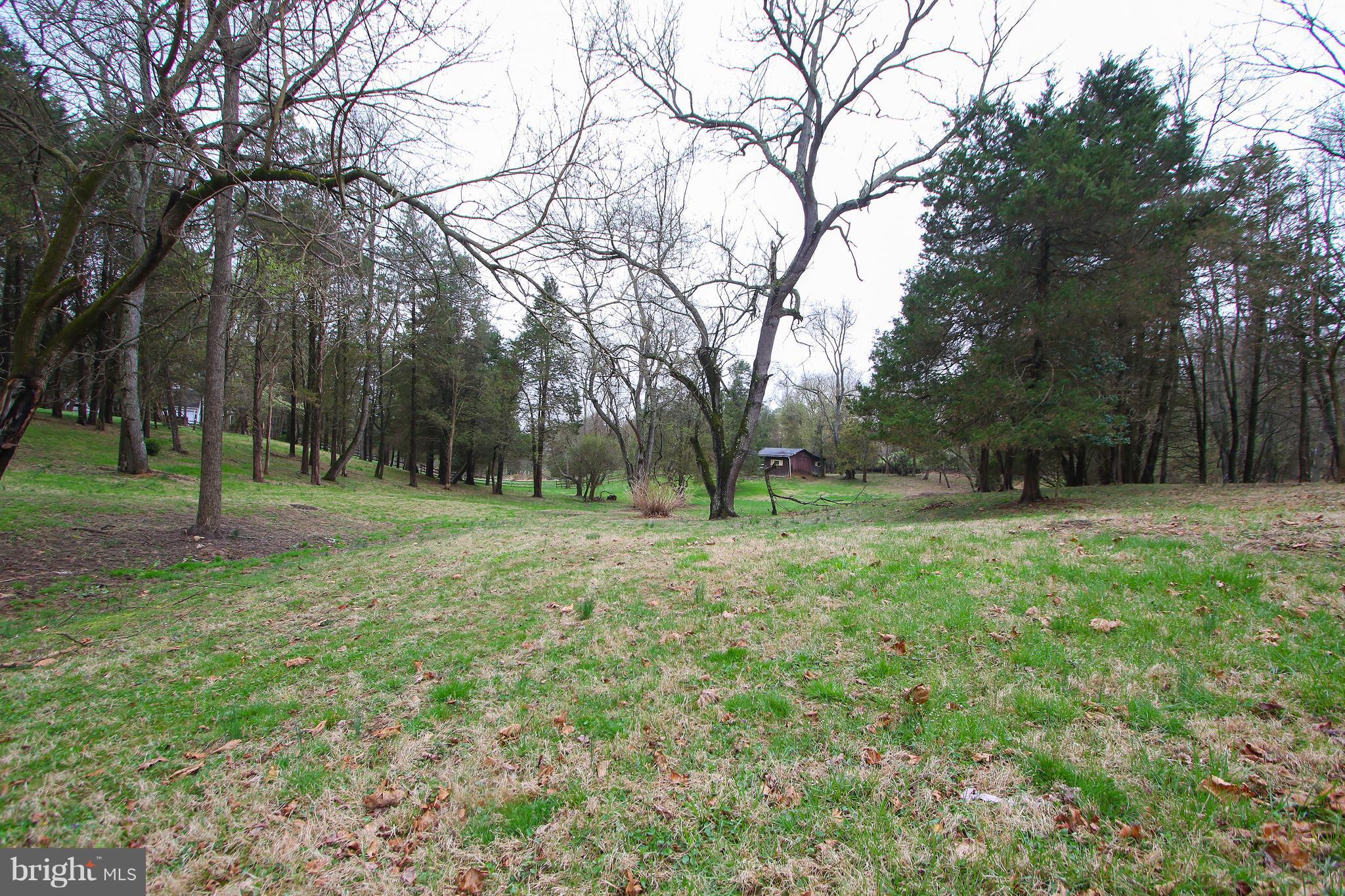 ANCIENT OAK - Land