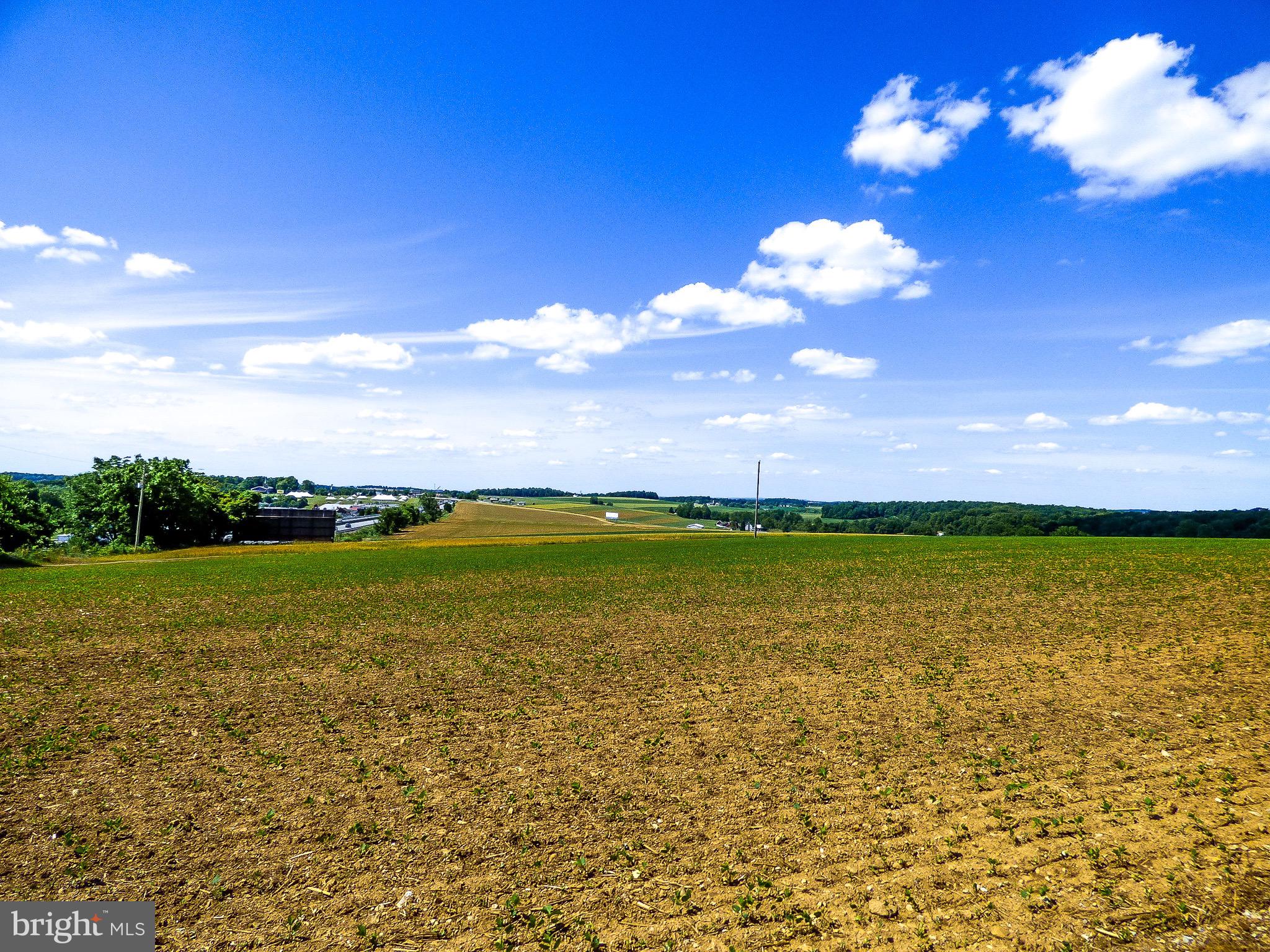 NONE AVAILABLE - Farm
