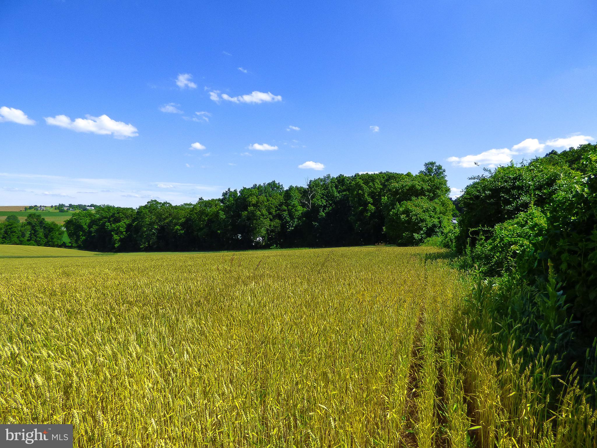 NONE AVAILABLE - Farm