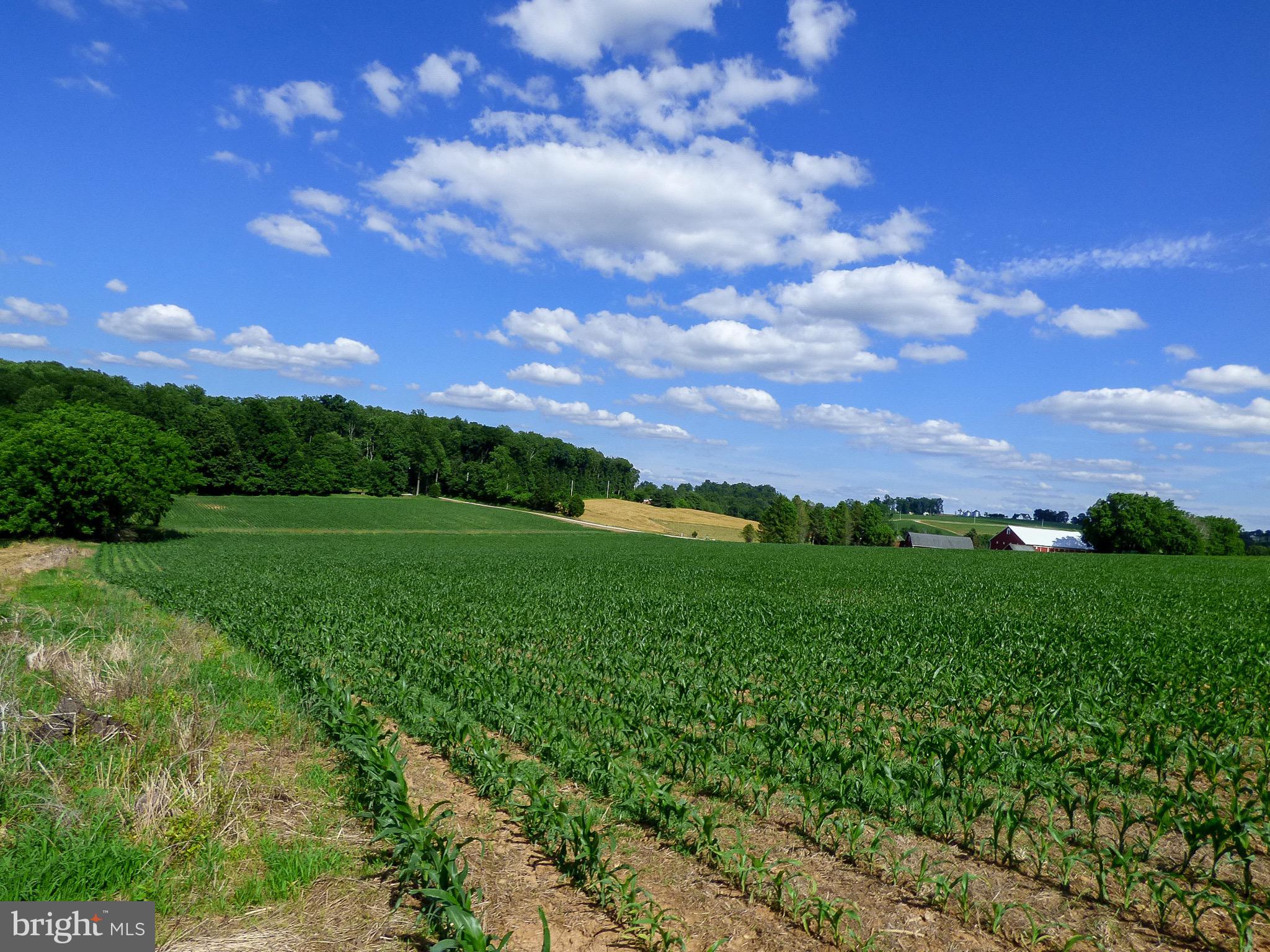 NONE AVAILABLE - Farm