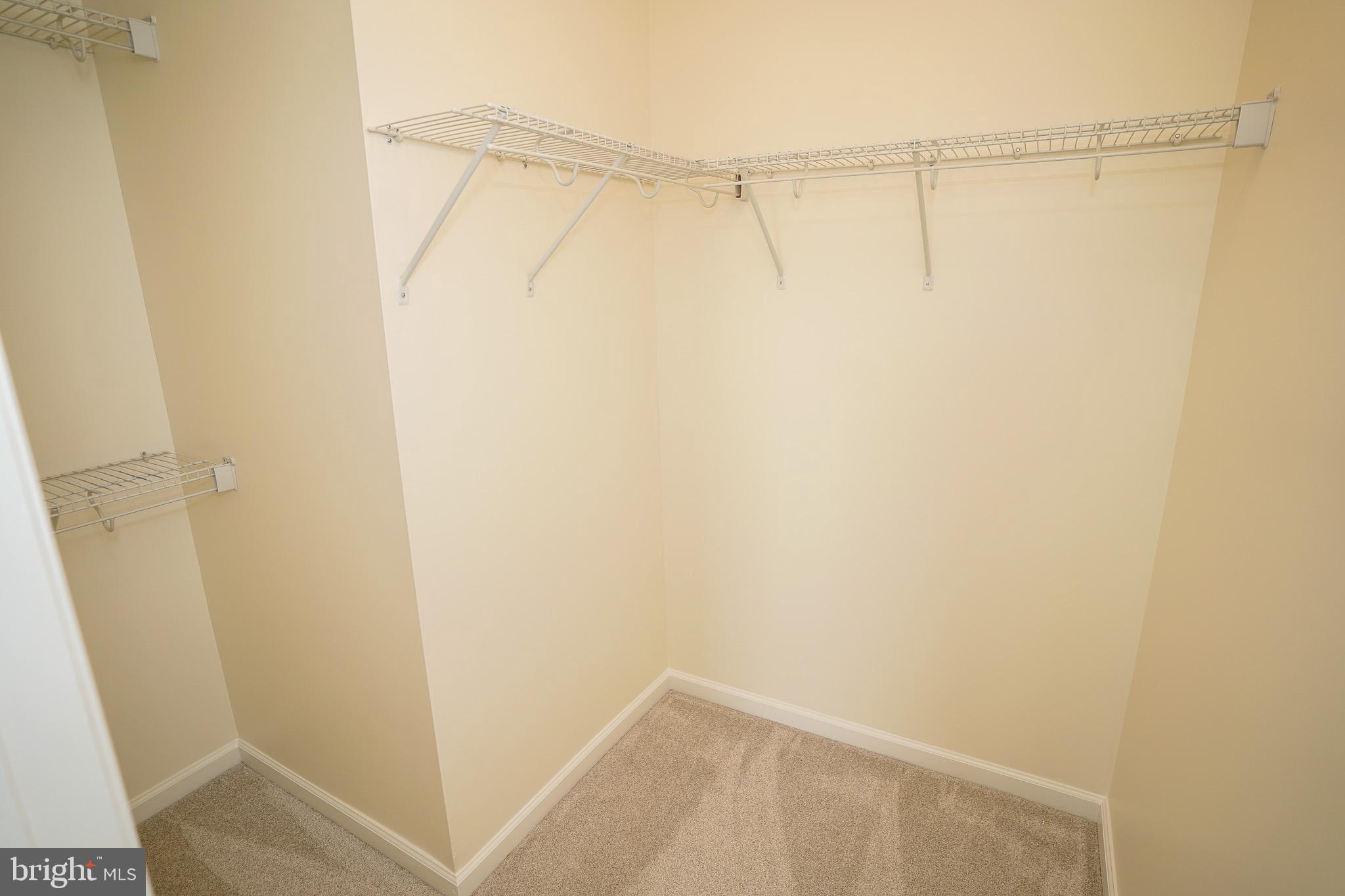 BLUE STREAM - Residential Lease