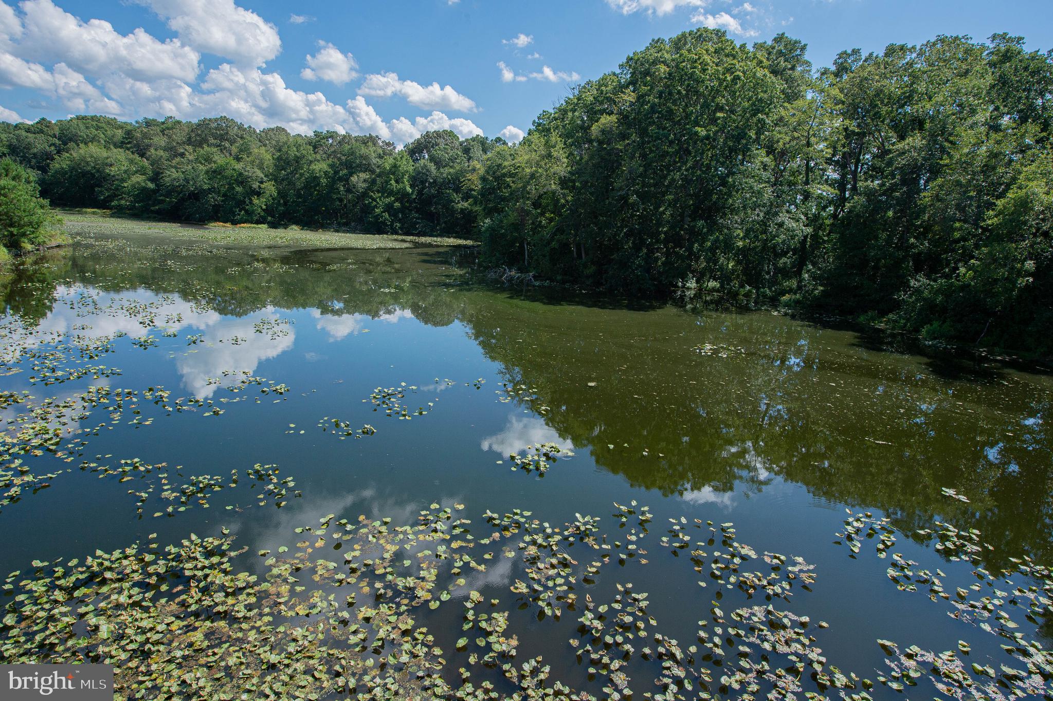 CANAL WOODS CM - Residential Lease