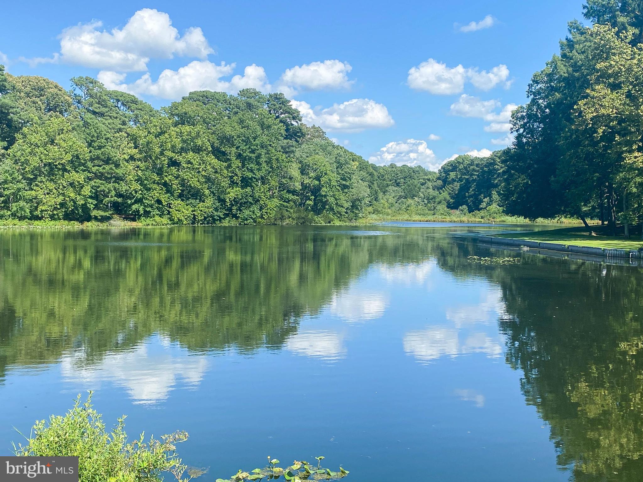 CANAL WOODS CM - Residential Lease