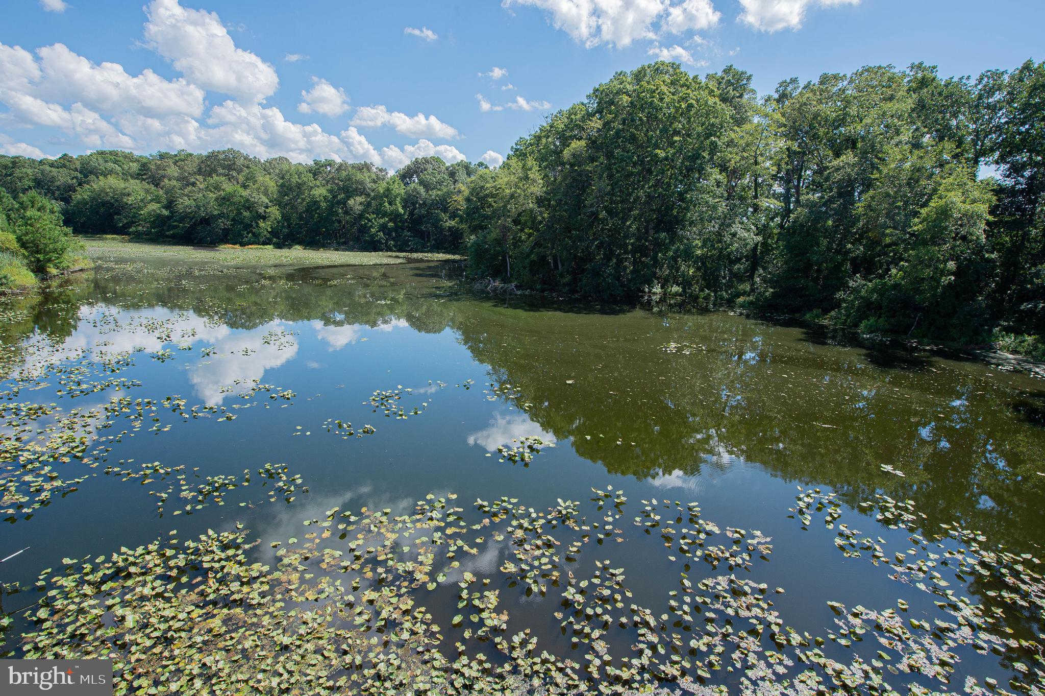 CANAL WOODS CM - Residential Lease