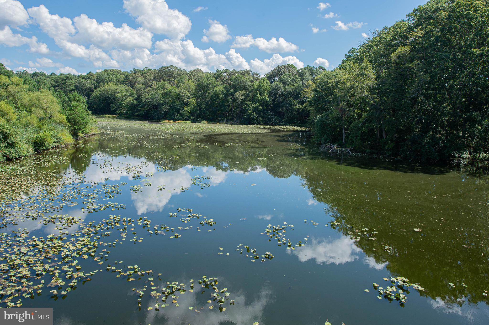 CANAL WOODS CM - Residential Lease