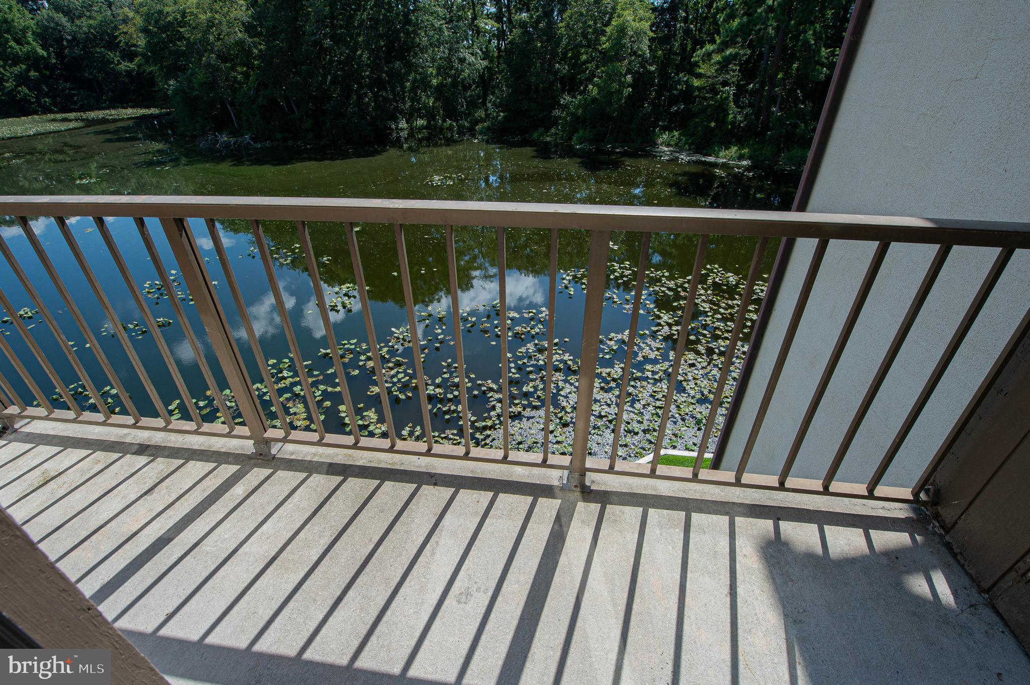 CANAL WOODS CM - Residential Lease