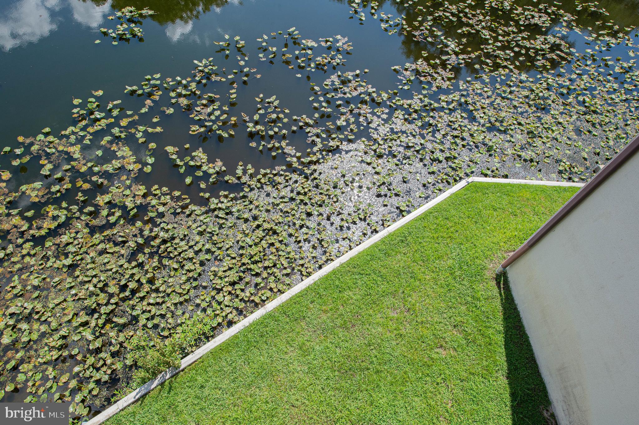 CANAL WOODS CM - Residential Lease