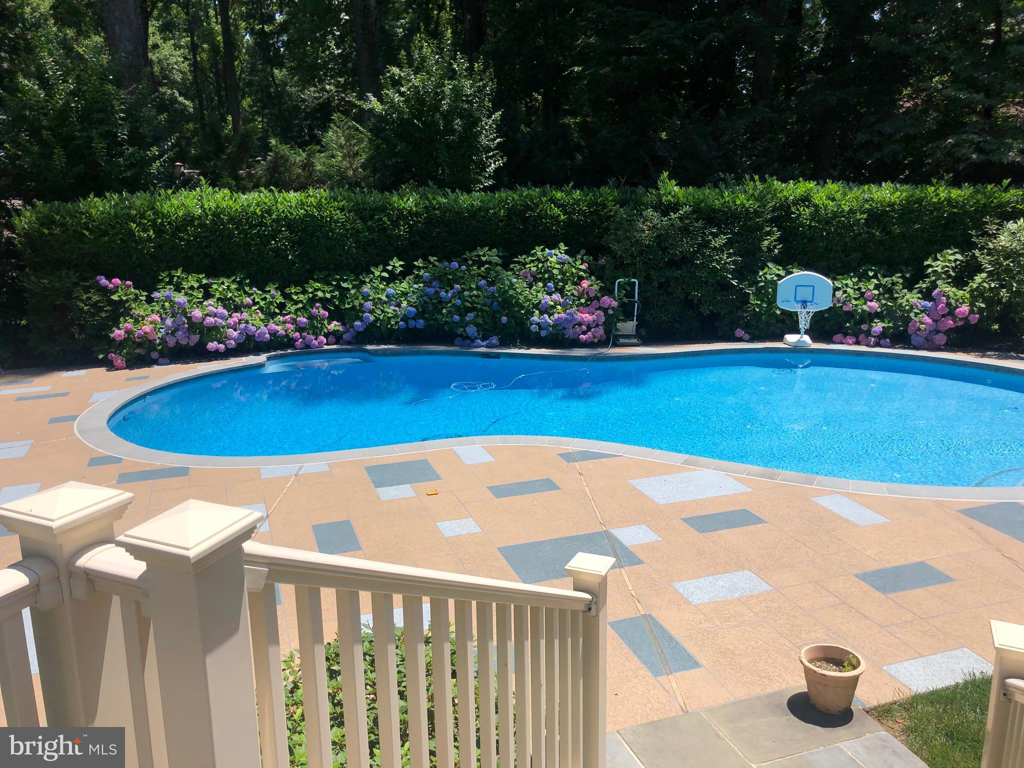 WILLIAMSBURG GARDENS - Residential