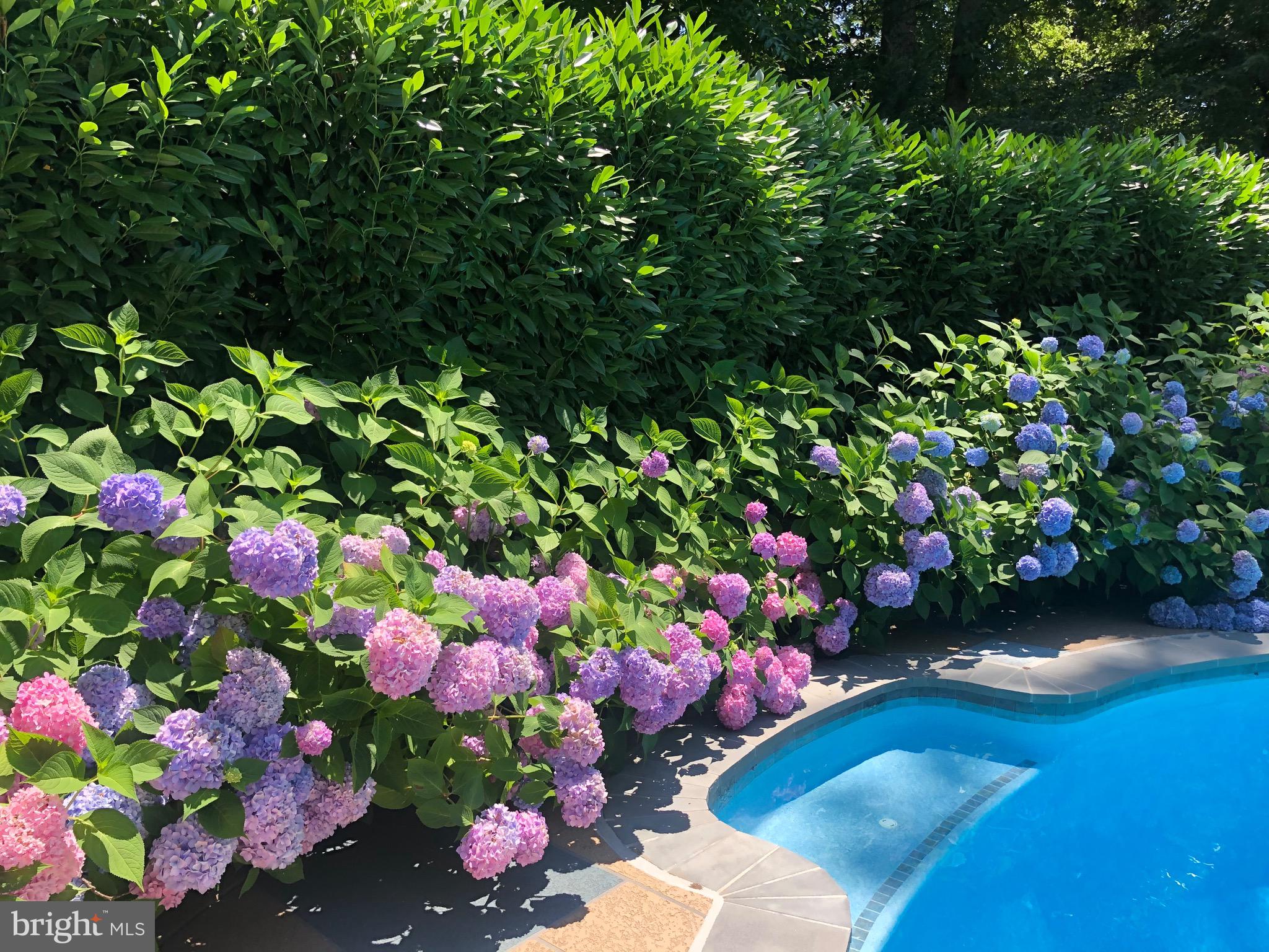 WILLIAMSBURG GARDENS - Residential