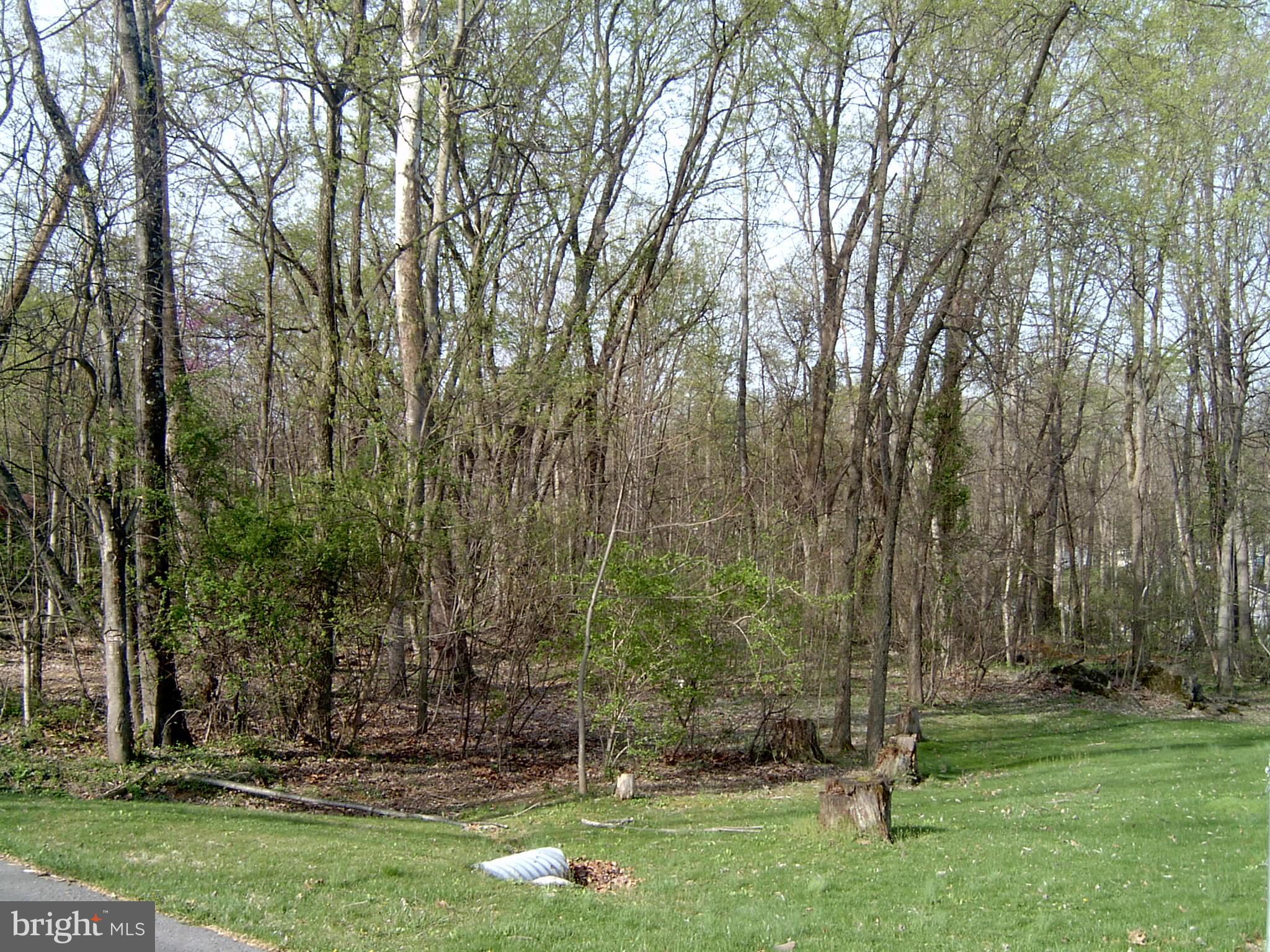 POTOMAC HILLS - Land