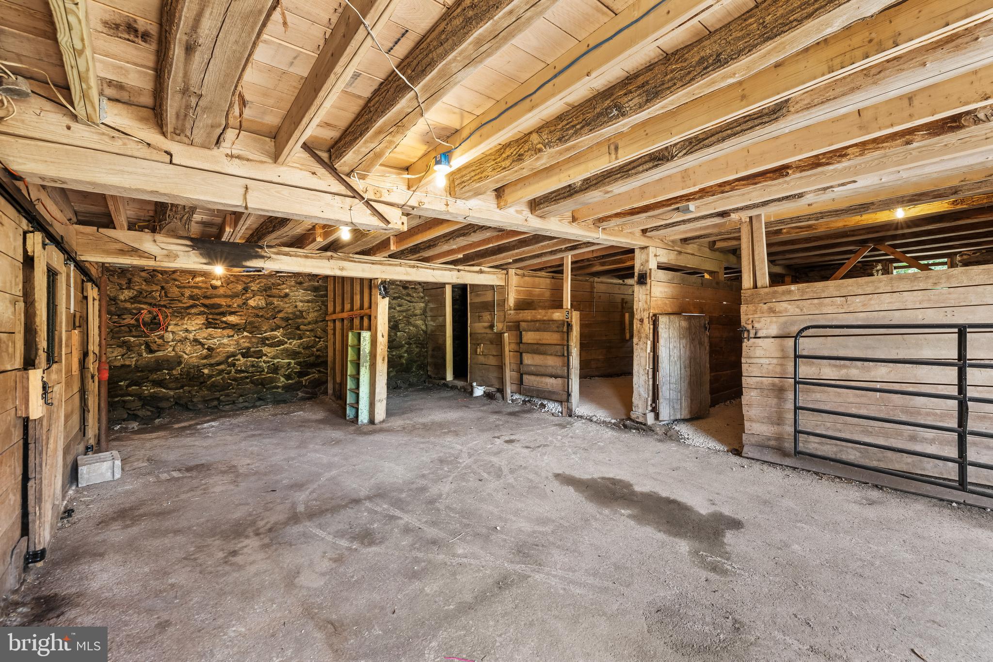FREELAND - Farm