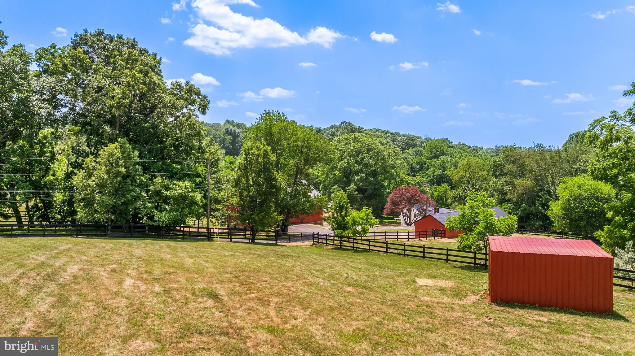 FREELAND - Farm