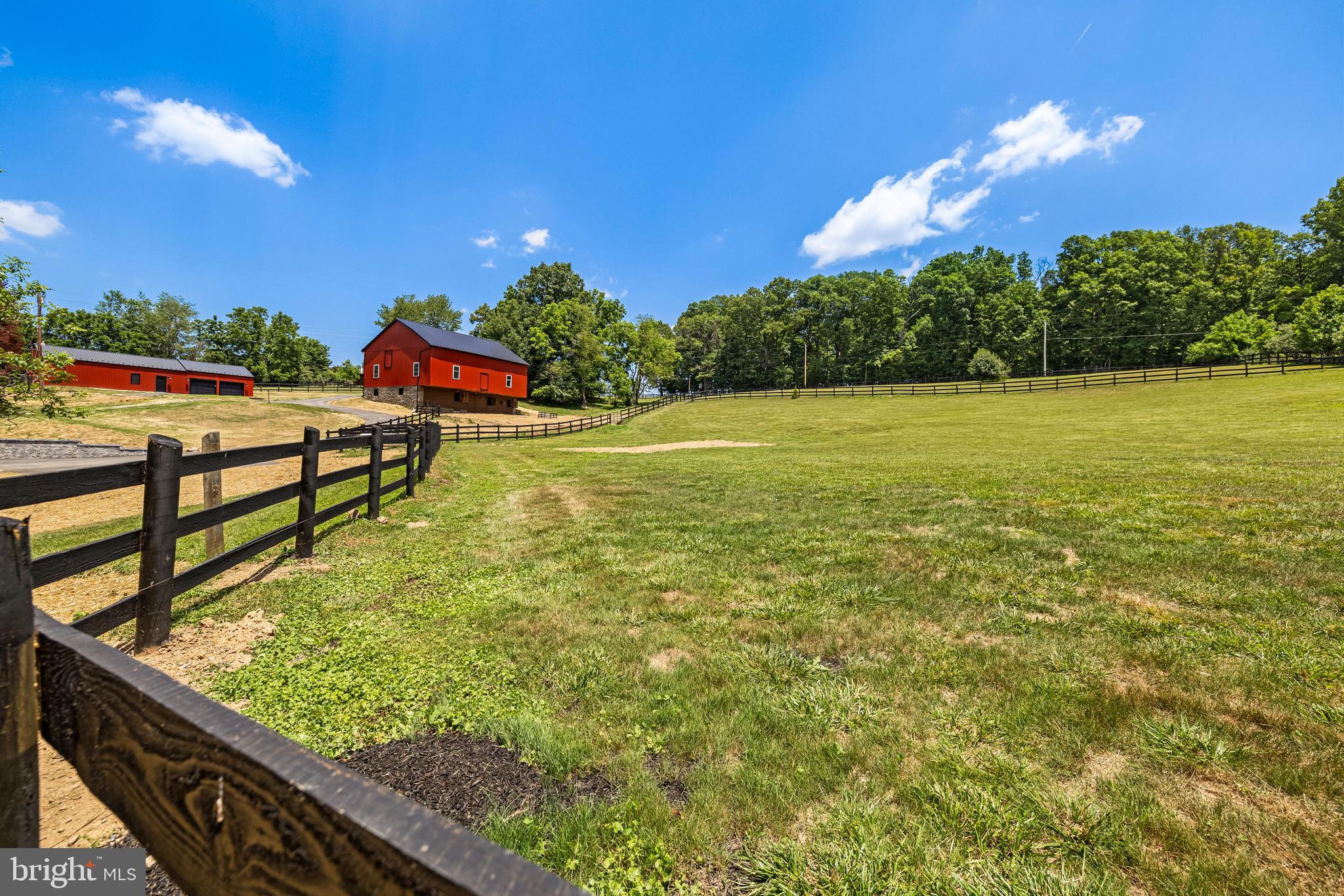 FREELAND - Farm