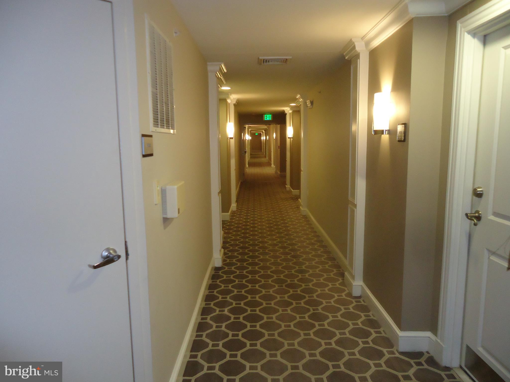 HALSTEAD AT THE METRO - Residential