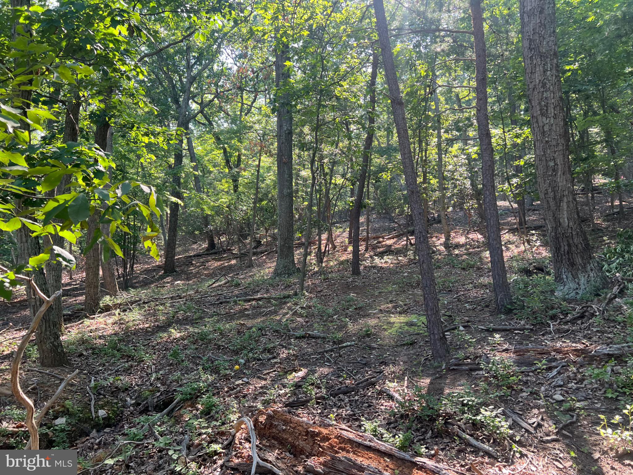BULL RUN MOUNTAIN ESTATE - Land