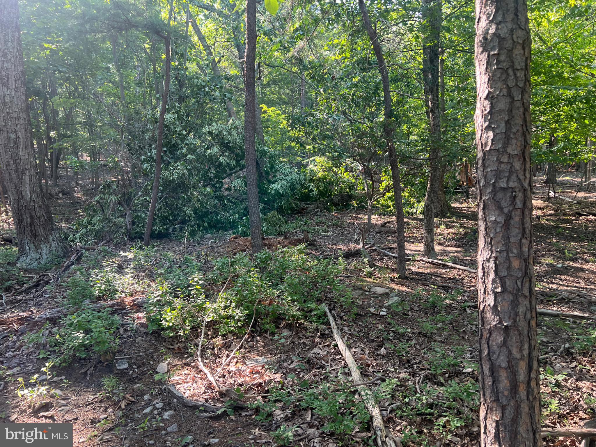 Thinking about building your dream home? Look no further.
This beautiful 1.56-acre lot in Bull Run Mountain offers stunning views and is surrounded by mature trees, providing both beauty and privacy. The property already has a site grading plan (in progress) and a completed perc test, making it ready for your new home. Conveniently located near public water and utilities with easy access, this lot is the perfect opportunity to build in a sought-after mountain setting. Located 1hour away from DC, Metro available in Brambleton 25 mins, 15-20mins away from Chantilly major shopping center. Buyers do your due diligence.