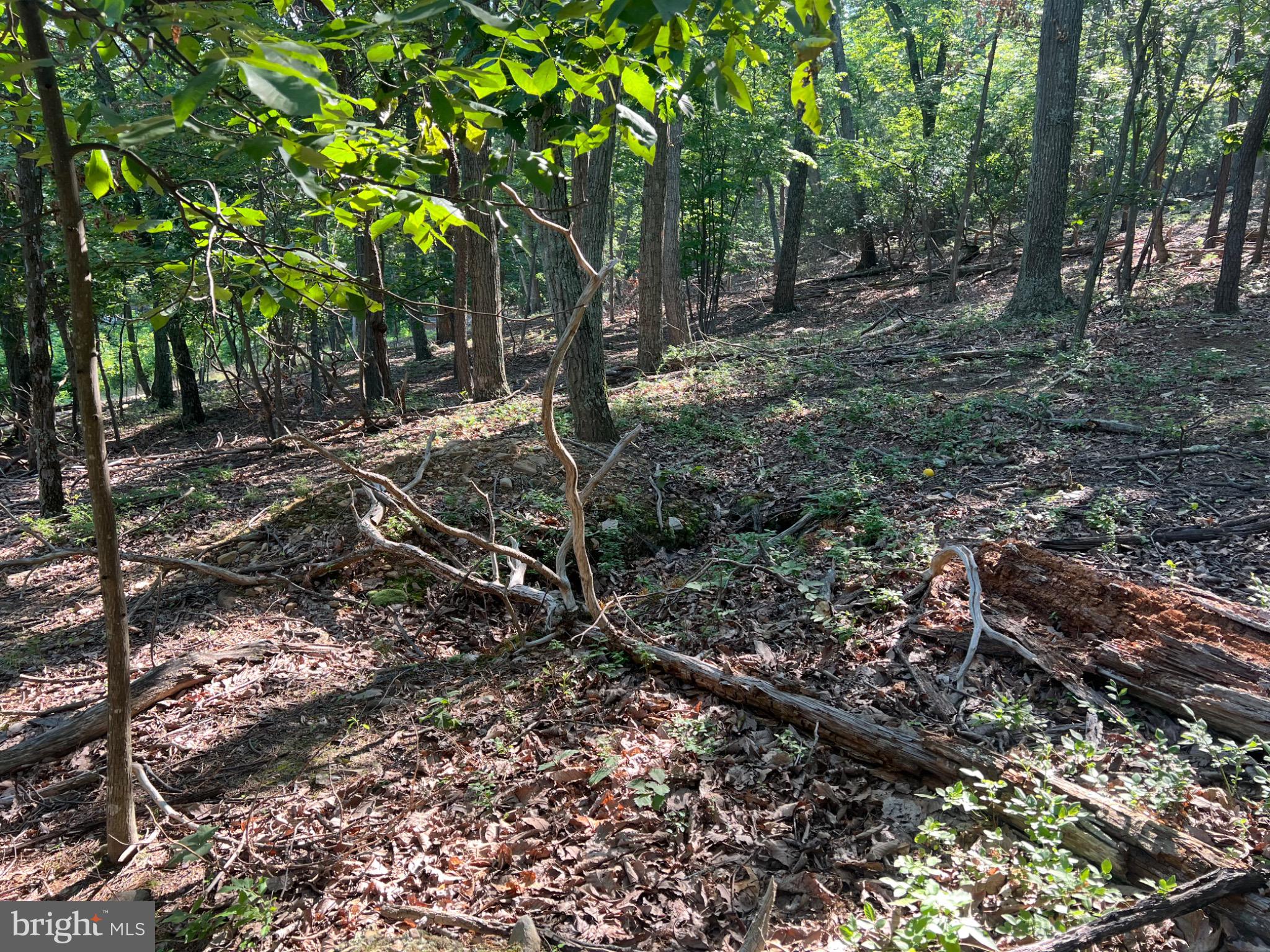 BULL RUN MOUNTAIN ESTATE - Land
