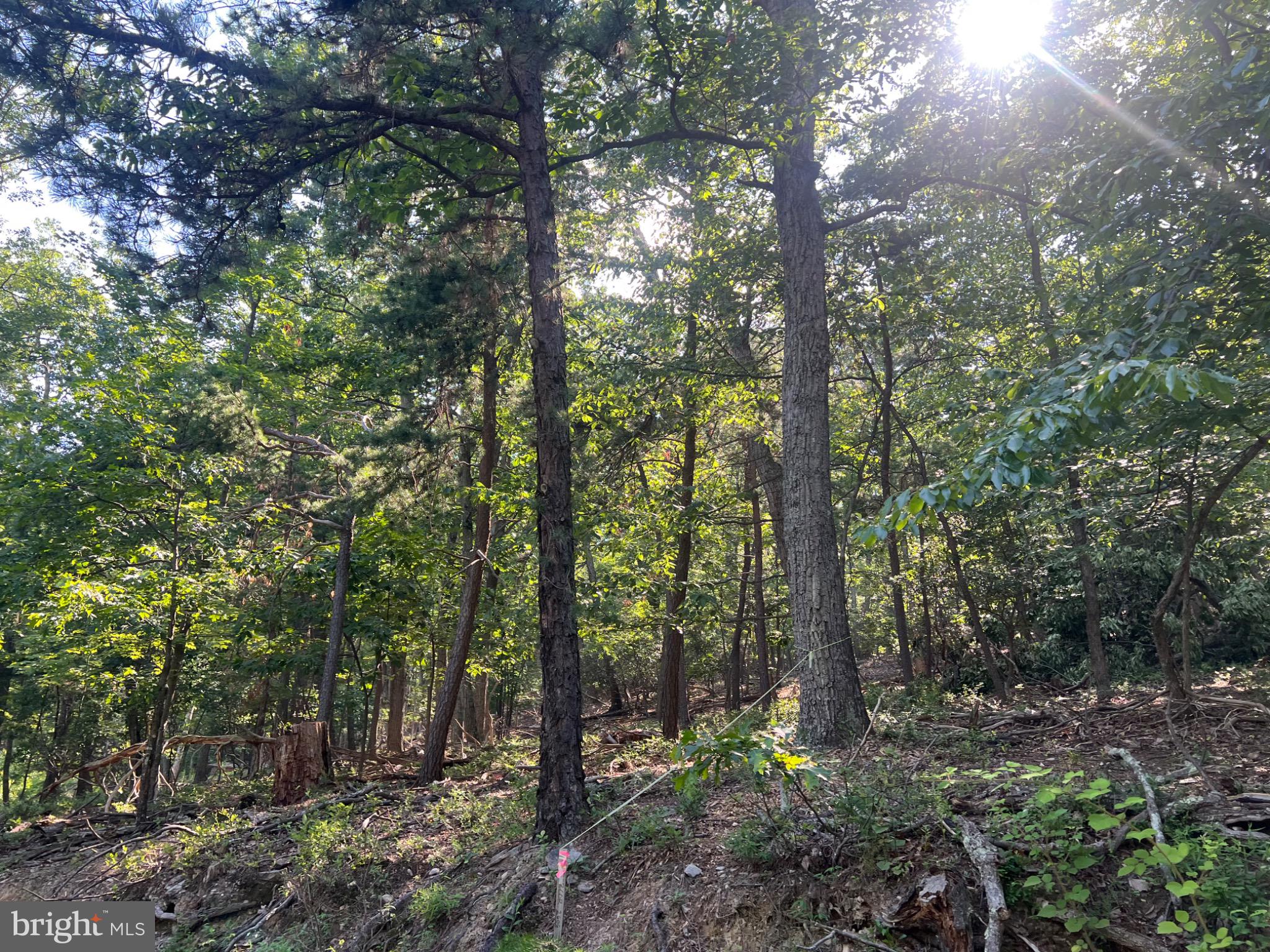 BULL RUN MOUNTAIN ESTATE - Land