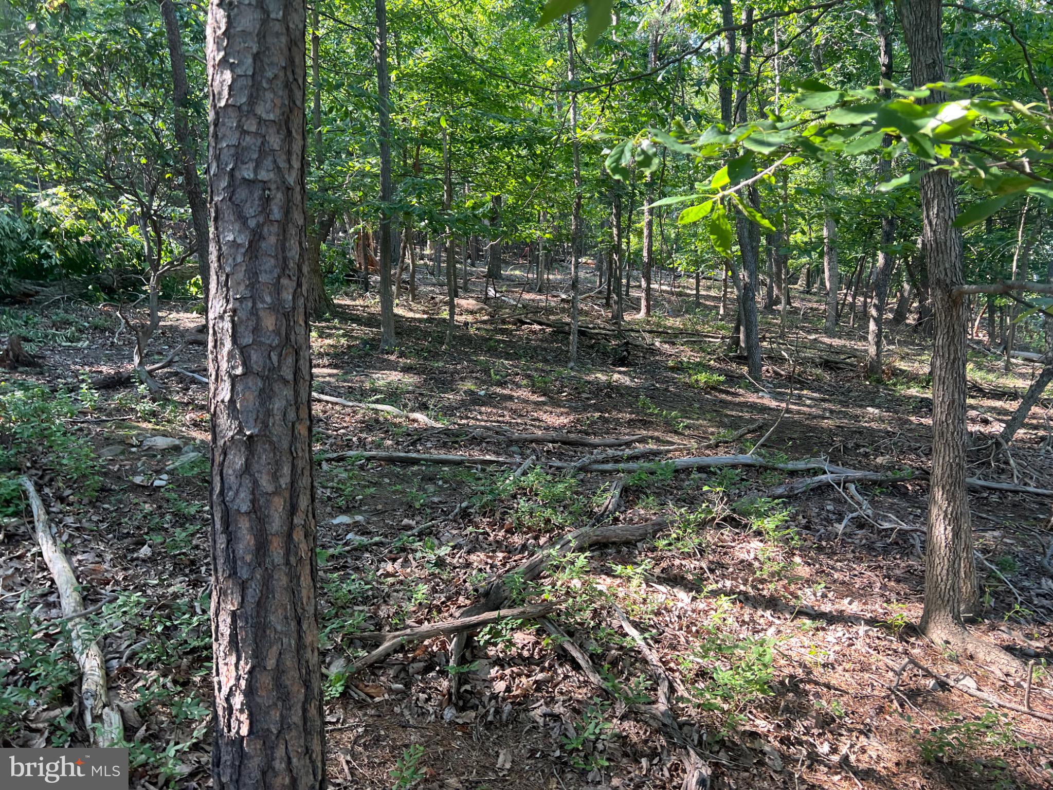 BULL RUN MOUNTAIN ESTATE - Land