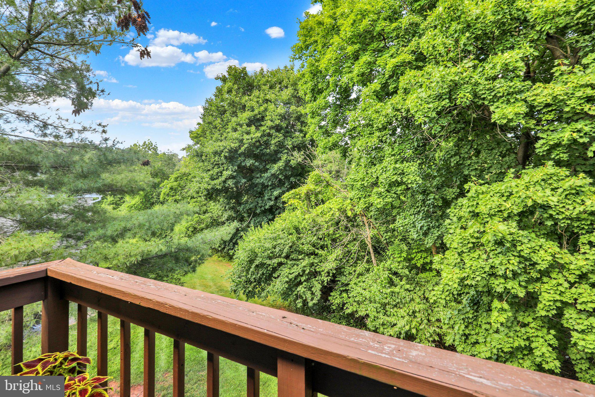 MIFFLIN WOODS - Residential