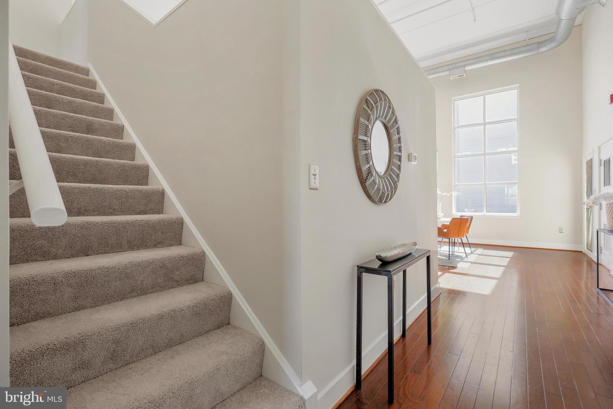 DOWNTOWN SILVER SPRING - Residential