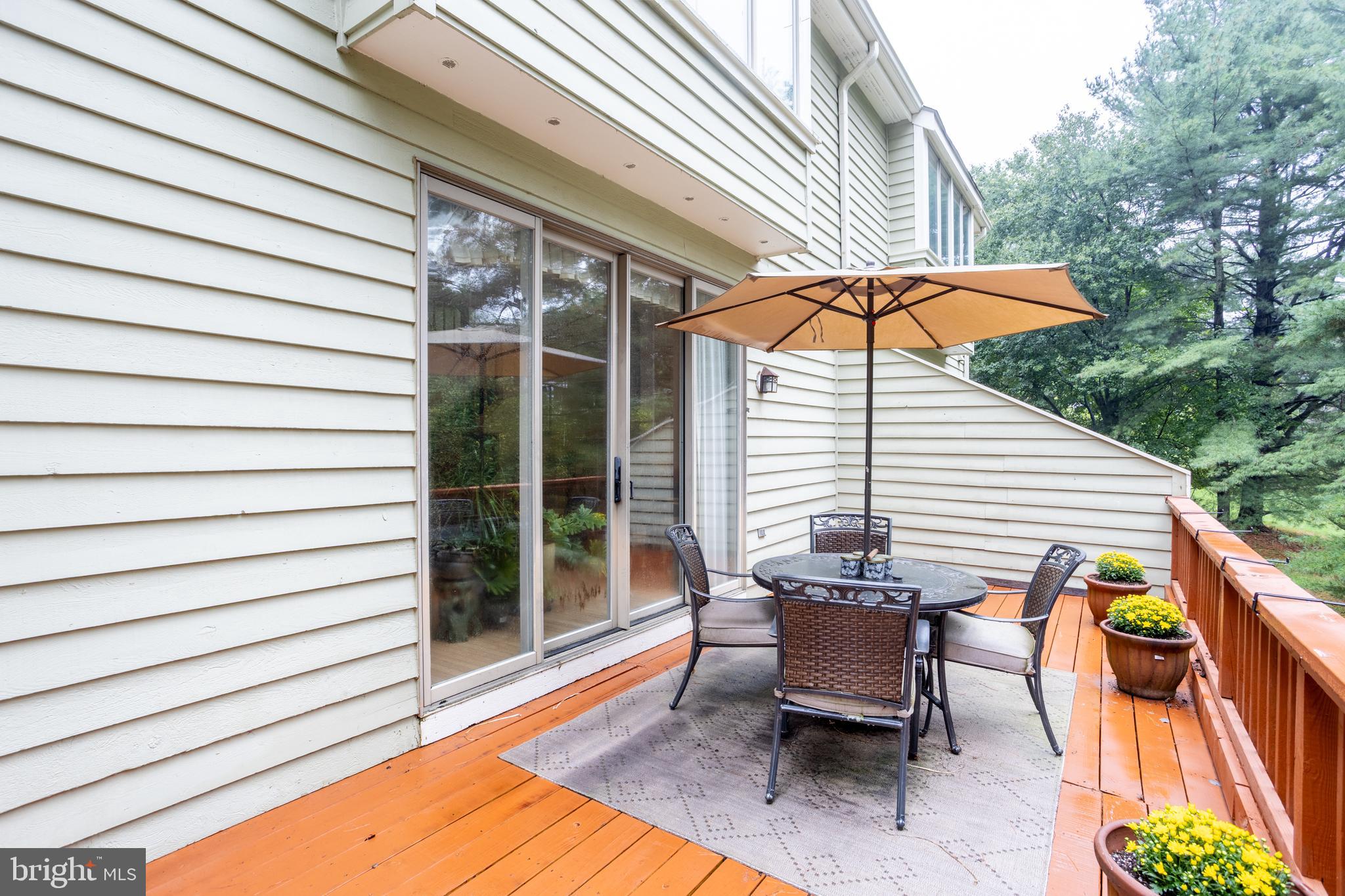 DORSEY SEARCH - Residential