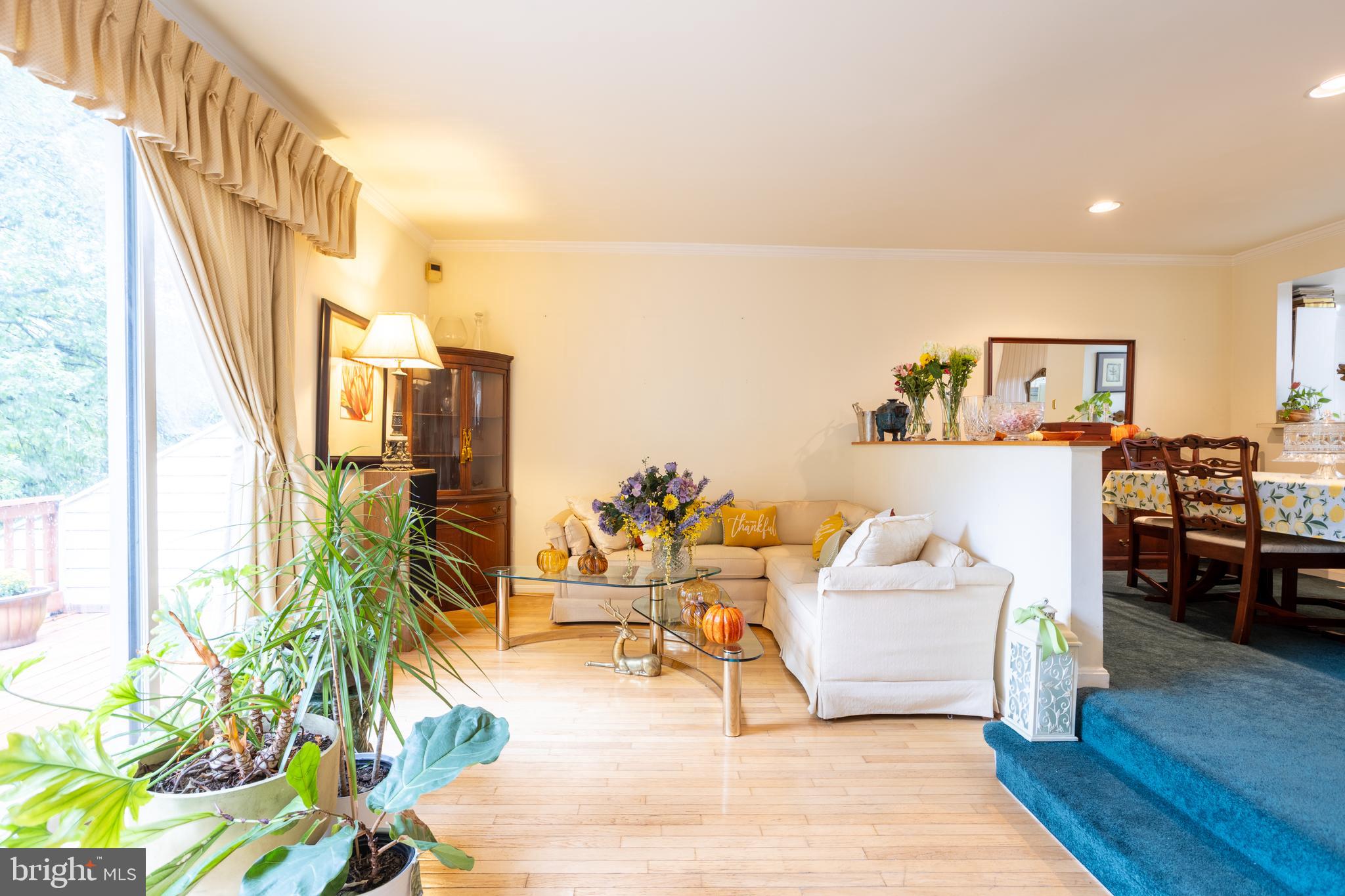 DORSEY SEARCH - Residential