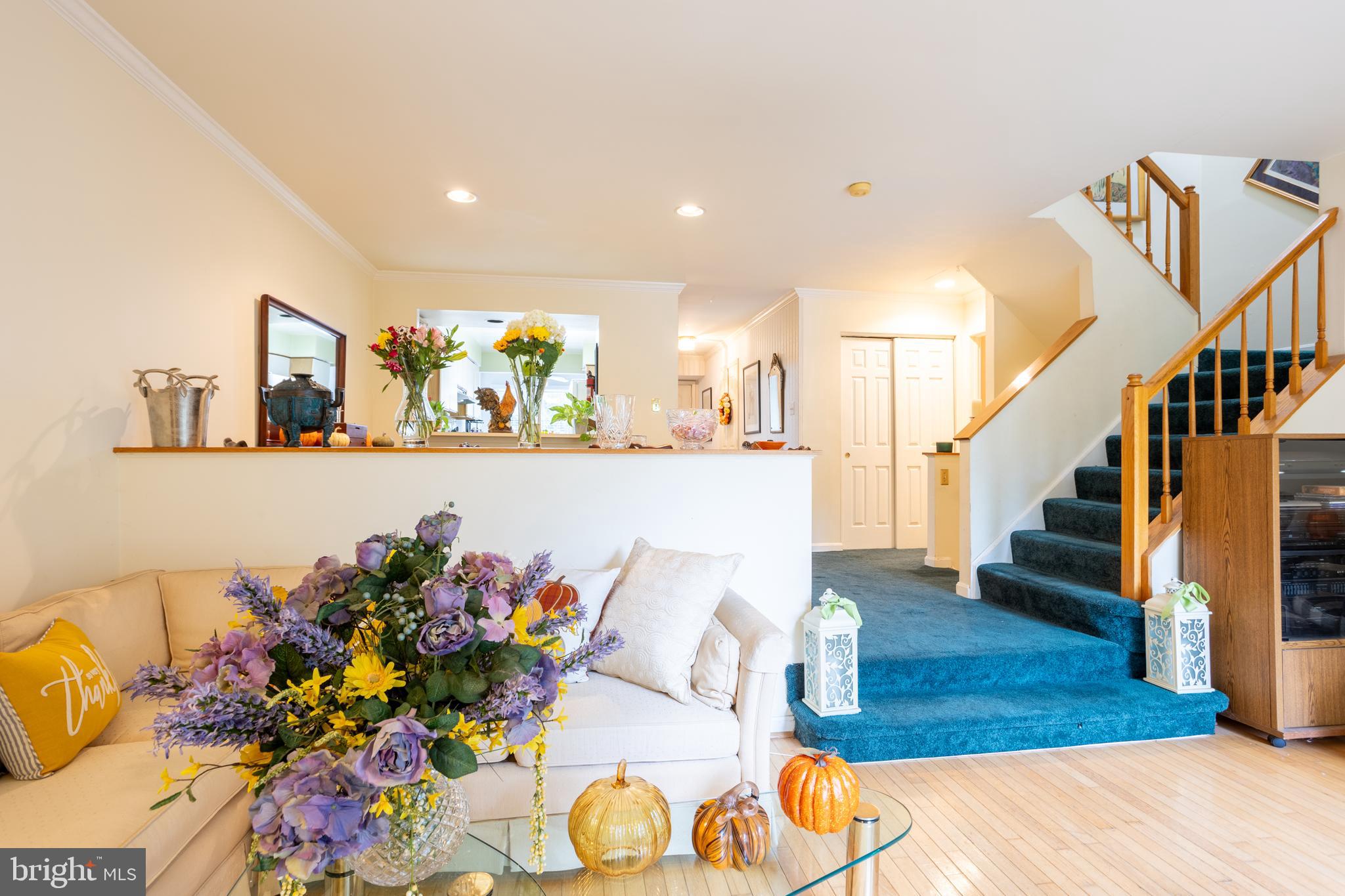 DORSEY SEARCH - Residential