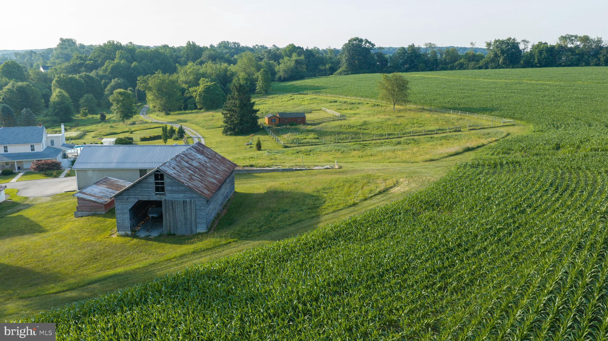 NONE AVAILABLE - Farm