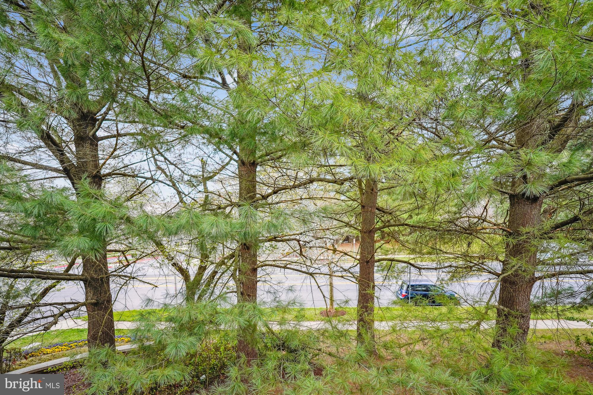 SCENERY POINTE CODM - Residential