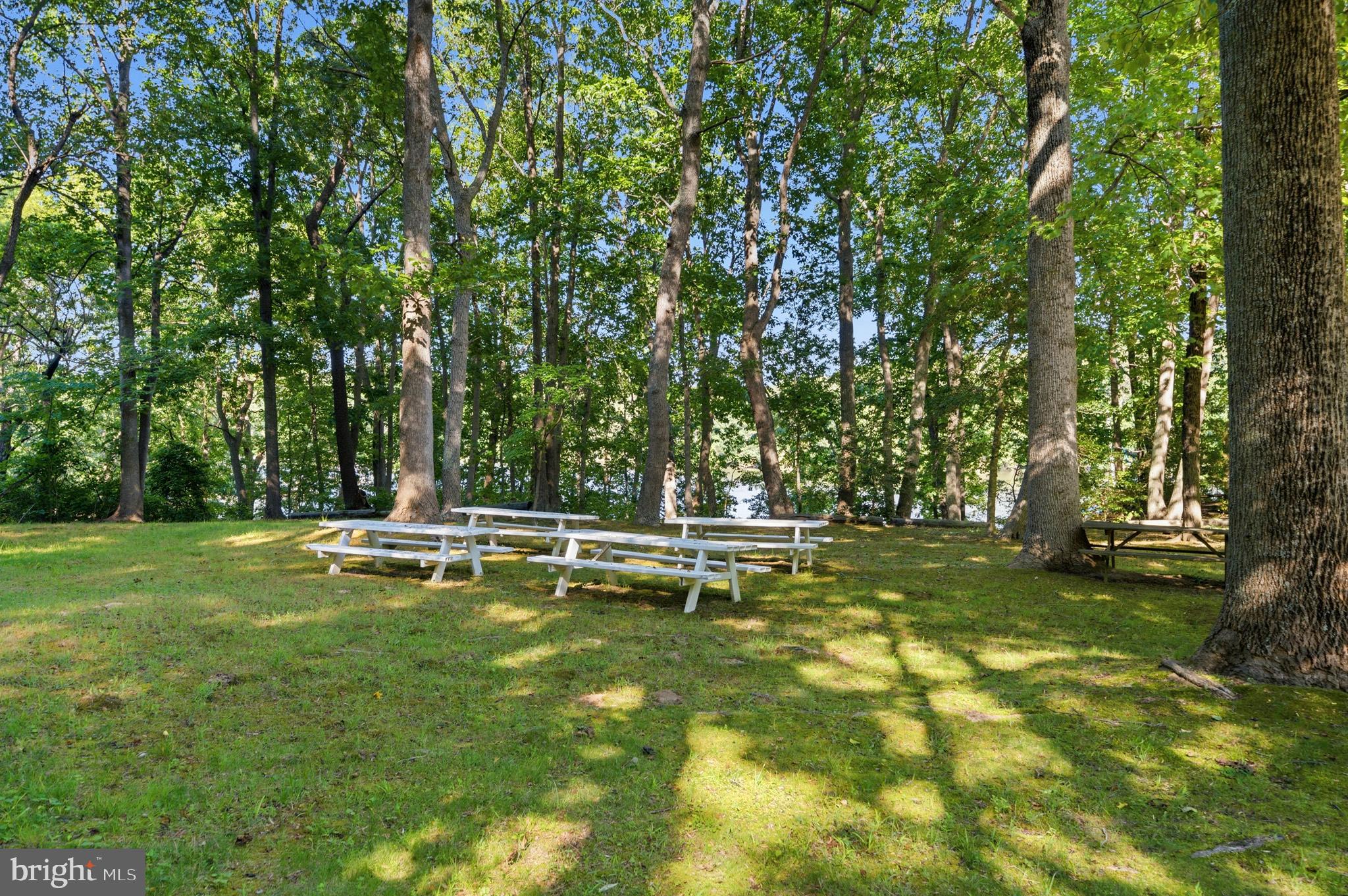 ST LEONARD SHORES - Residential