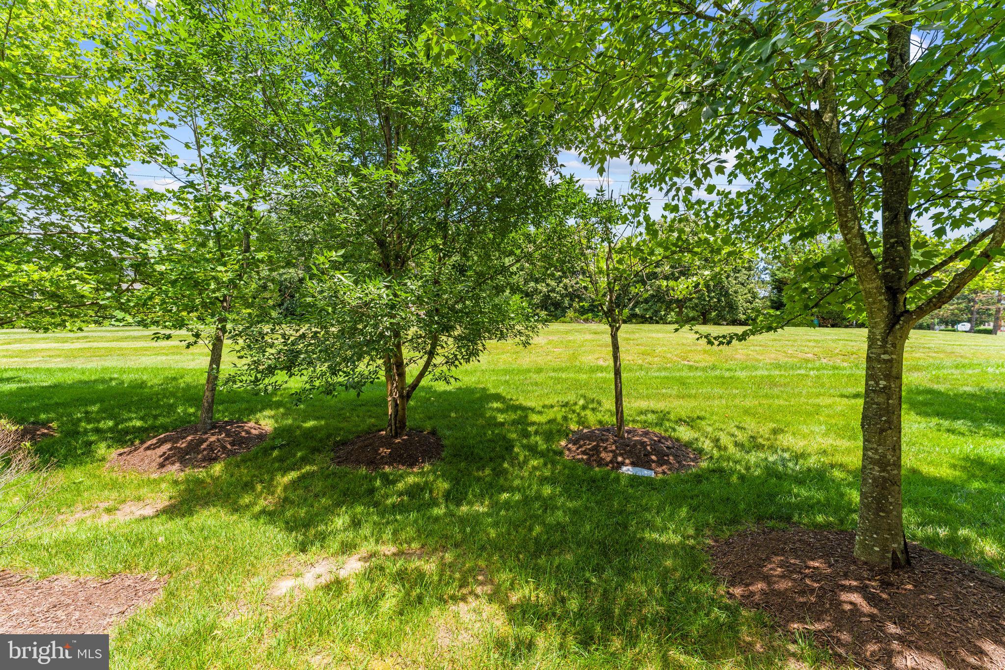 CHATSWORTH VILLAGE CONDO - Residential
