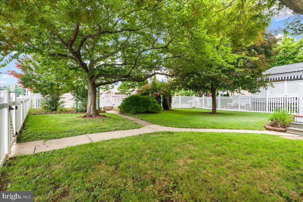 DOWNTOWN FREDERICK - Residential