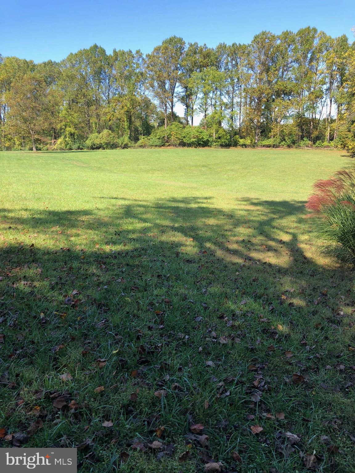 SPRINGTON WOODS - Residential
