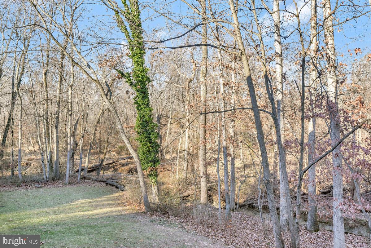 WILLOW POINT - Residential