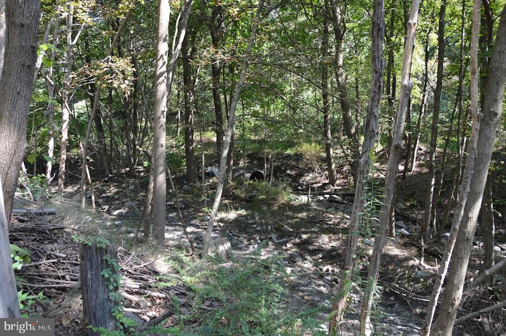 This property isn't for development but can possibly be used for some uses in the C-1 Zone.  Sloped property within flood zone.  Sign on property.