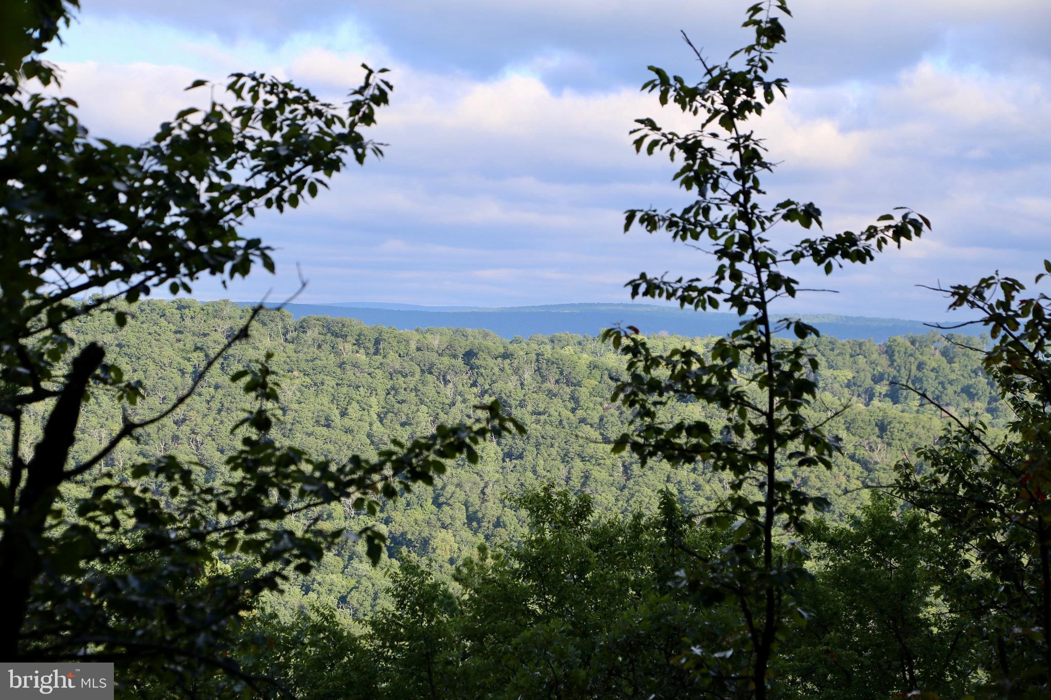 RIVER RIDGE - Land