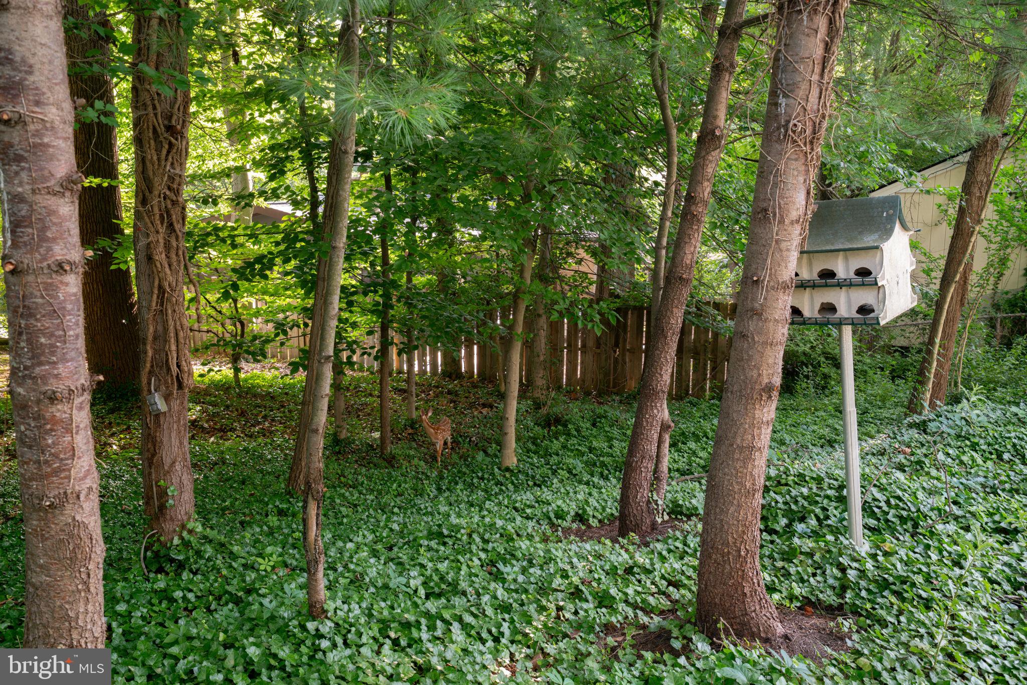 MANOR WOODS - Residential
