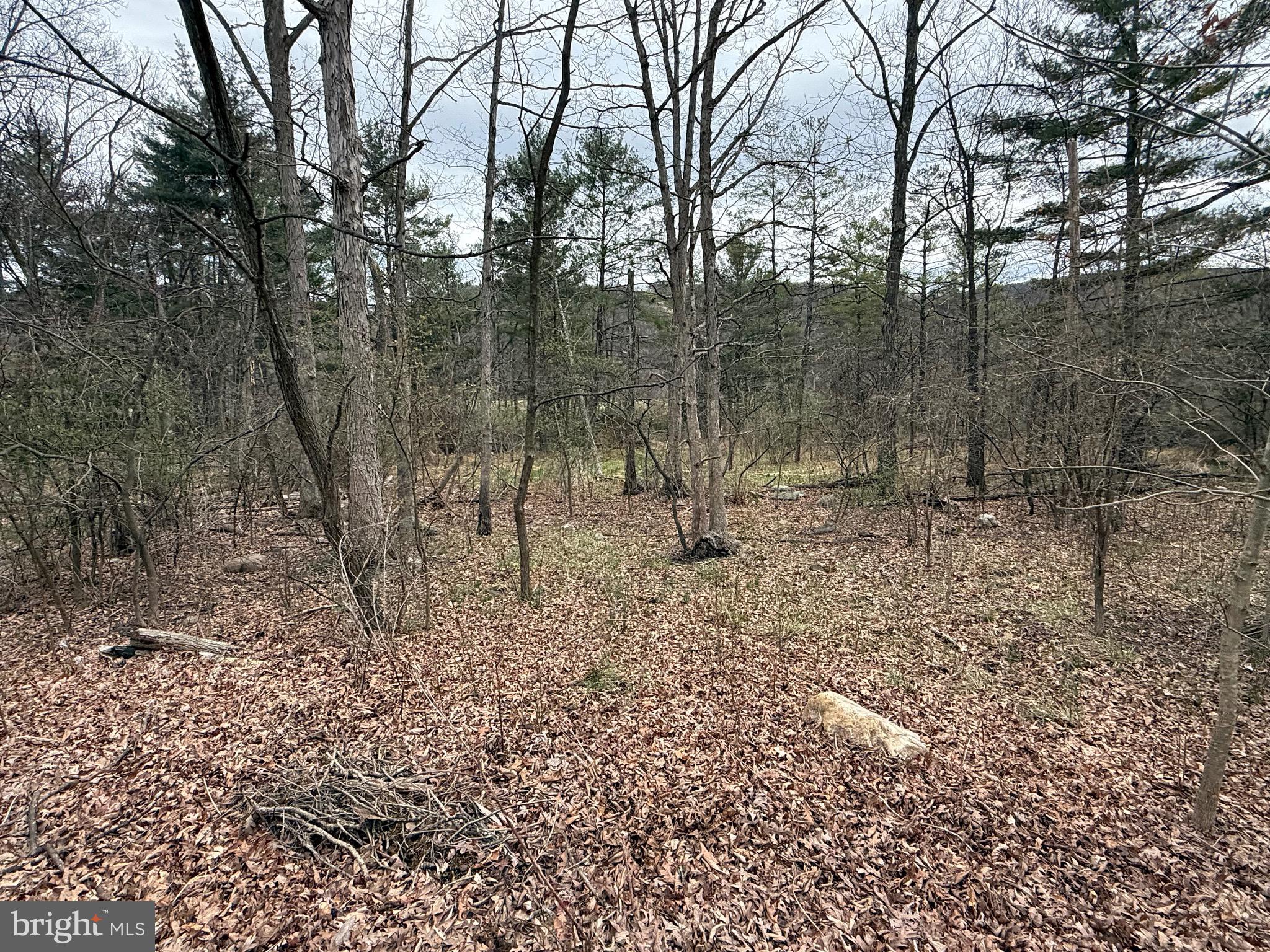 TIMBERLAKE ESTATES - Land