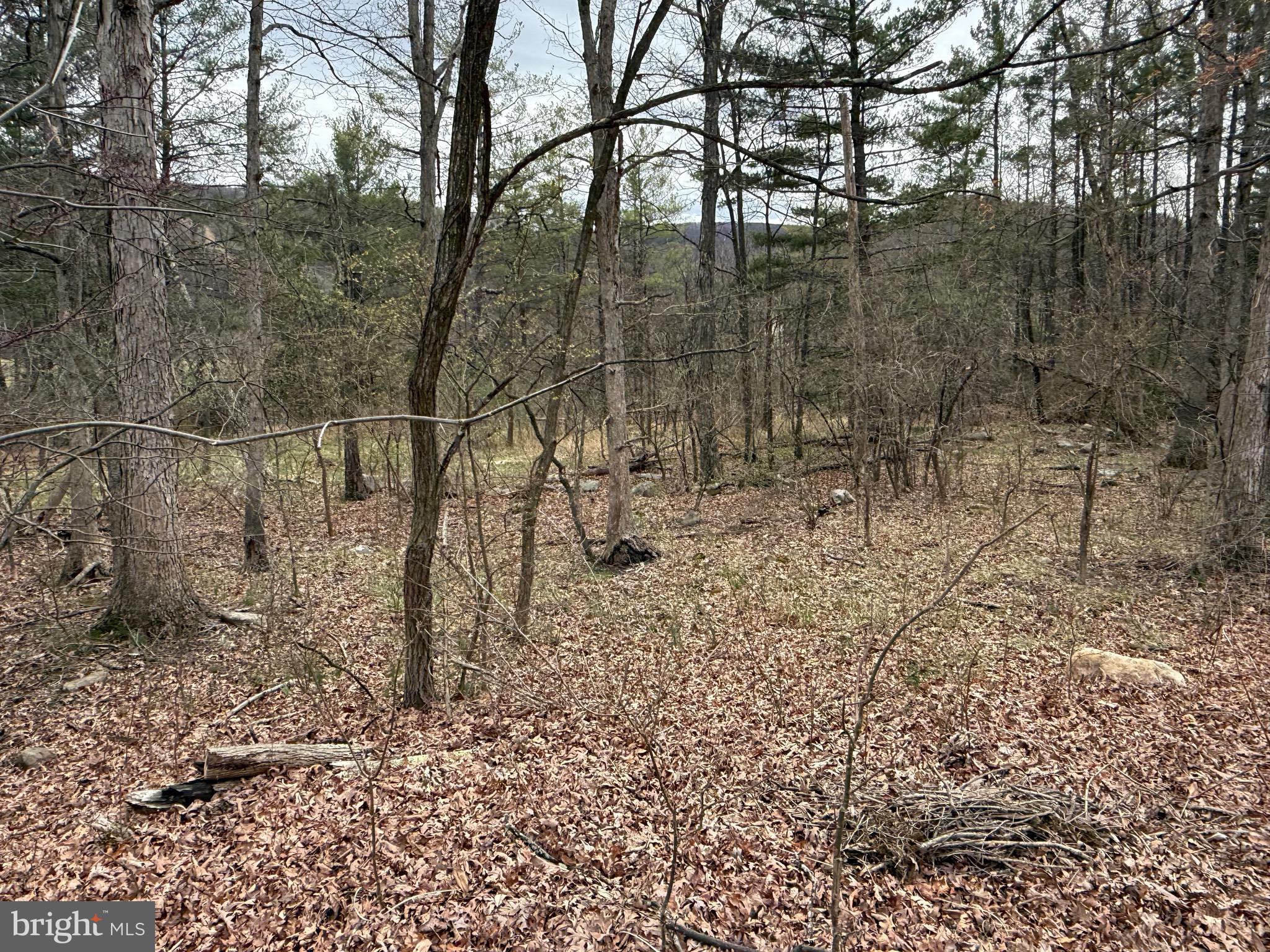 TIMBERLAKE ESTATES - Land