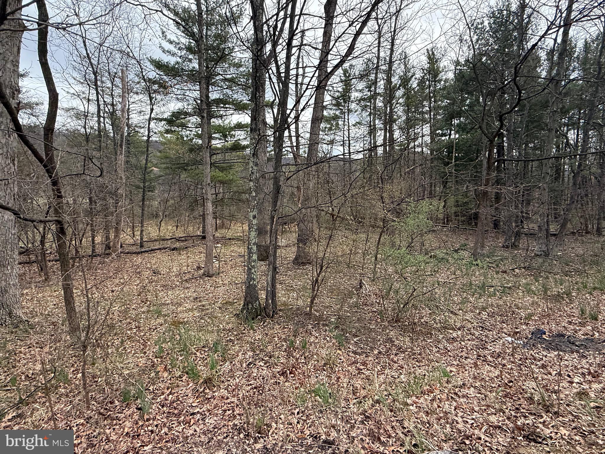 TIMBERLAKE ESTATES - Land
