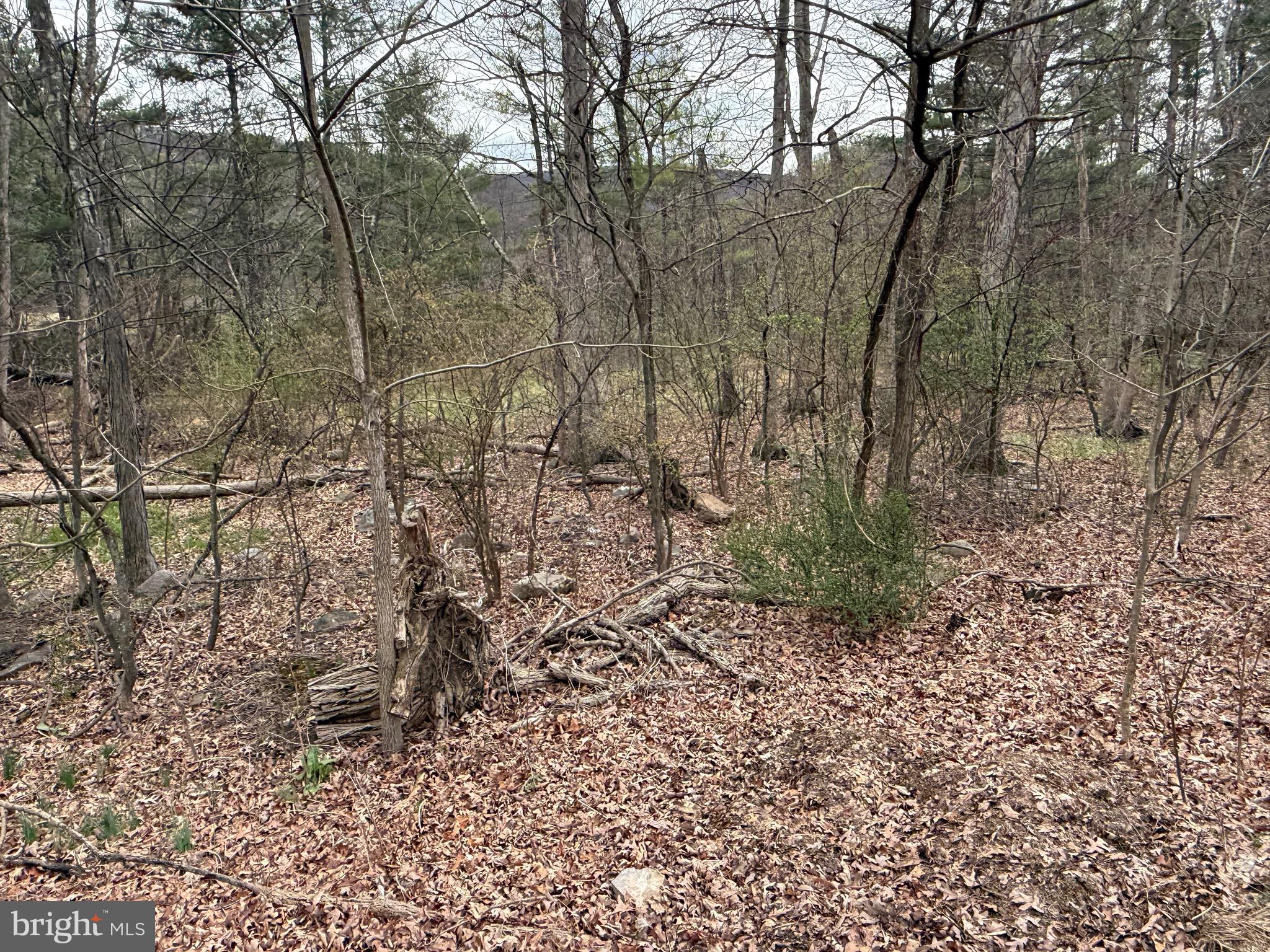 TIMBERLAKE ESTATES - Land
