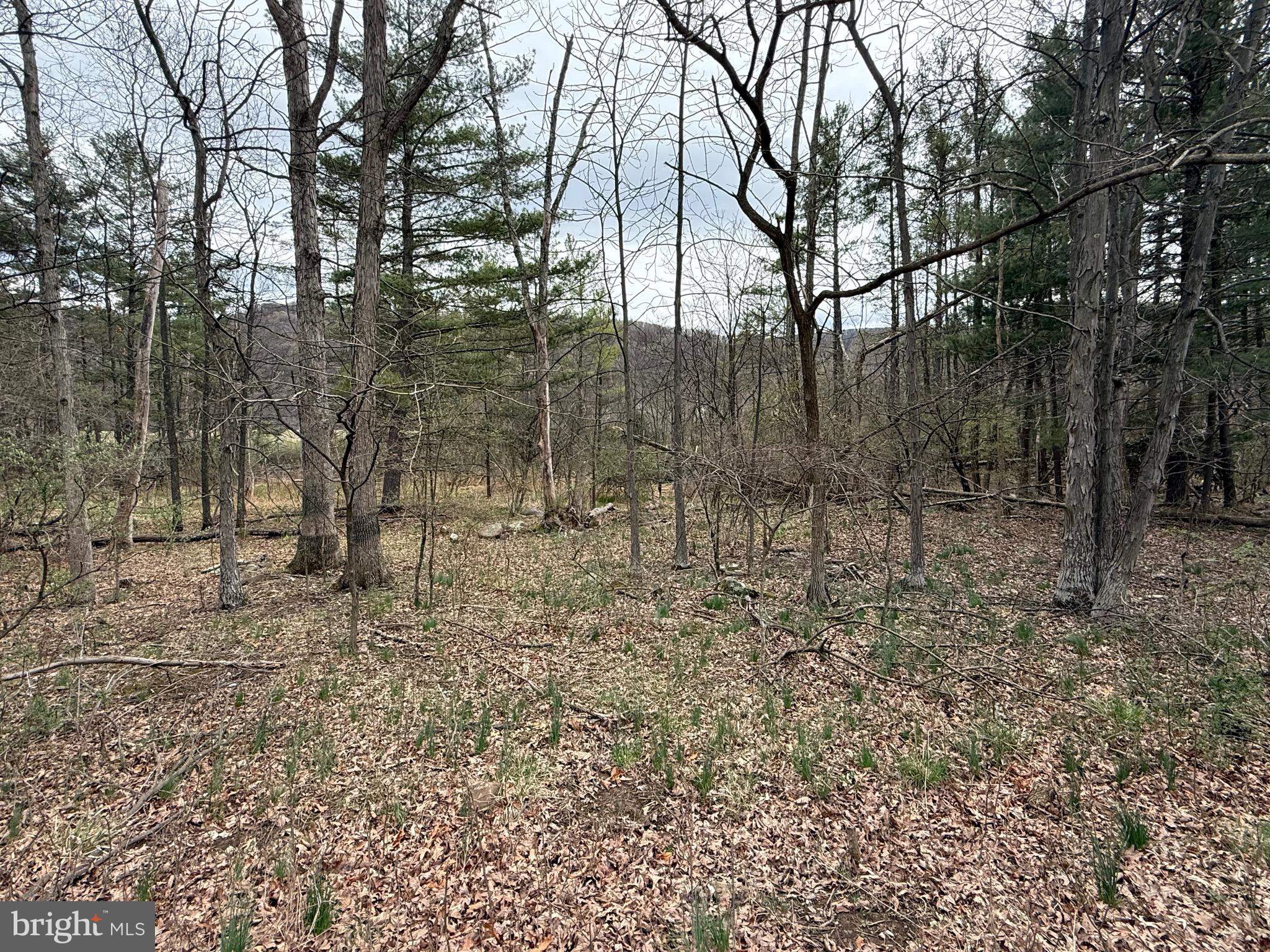 TIMBERLAKE ESTATES - Land