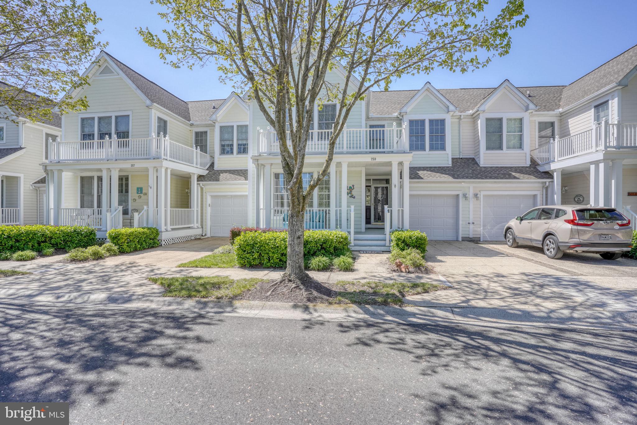BEAR TRAP - Residential