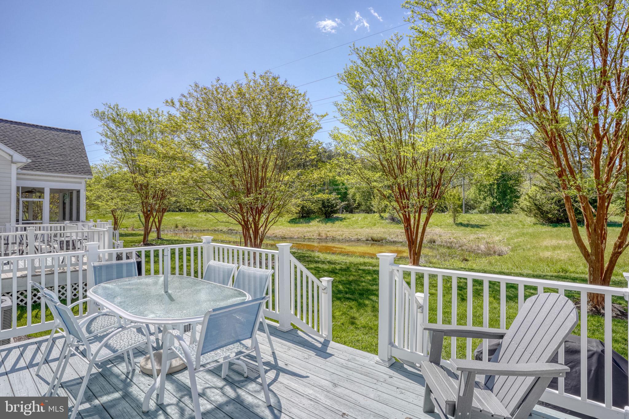 BEAR TRAP - Residential