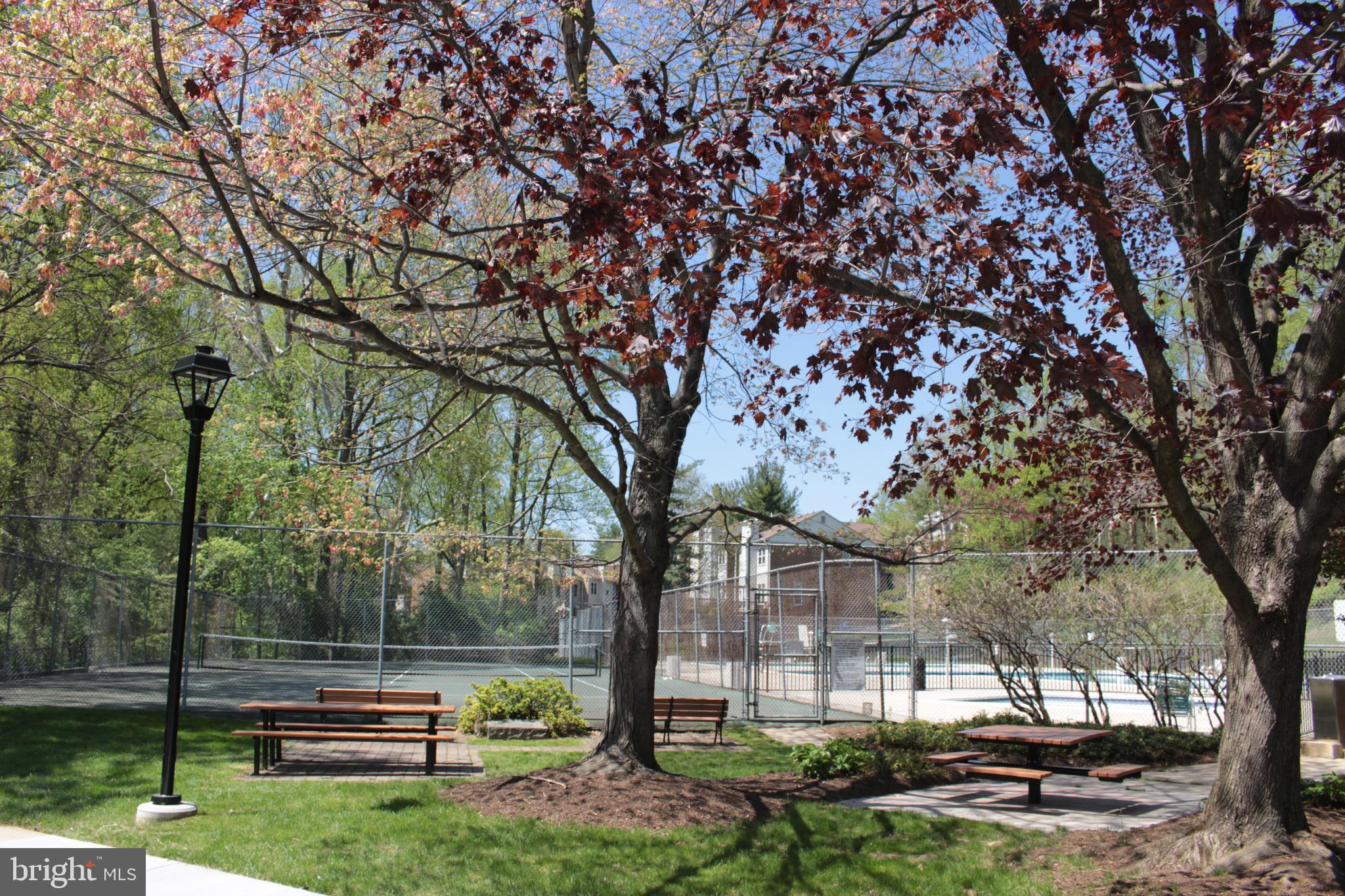 PARKSIDE CONDOMINIUMS - Residential Lease
